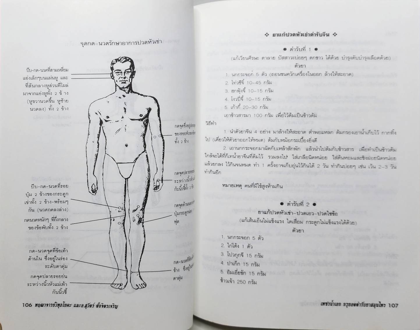 เพชรน้ำเอก กรุยอดตำรับยาสมุนไพร 027349