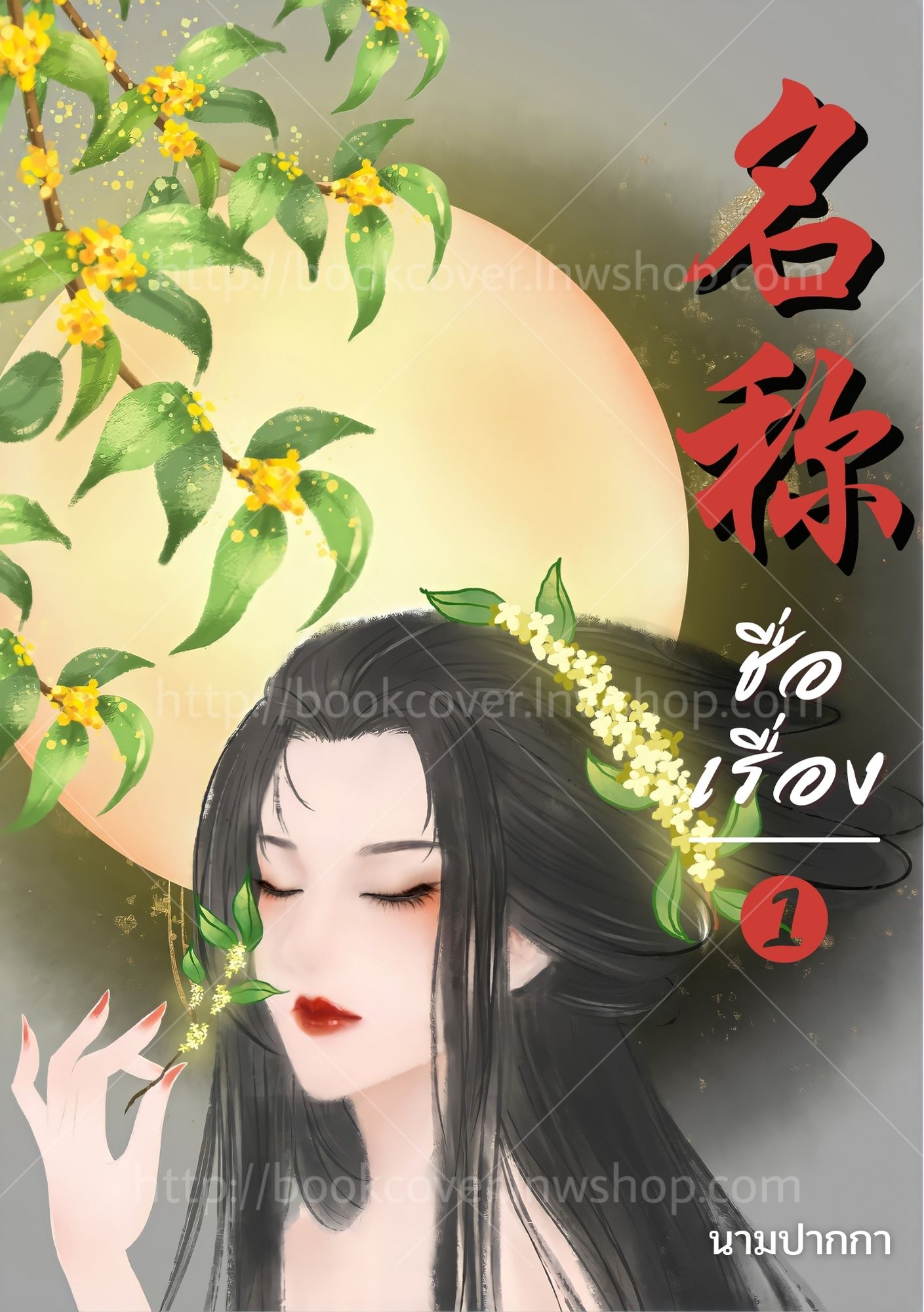 ปกนิยายจีนโบราณ แนวภาพวาดสาวงาม
