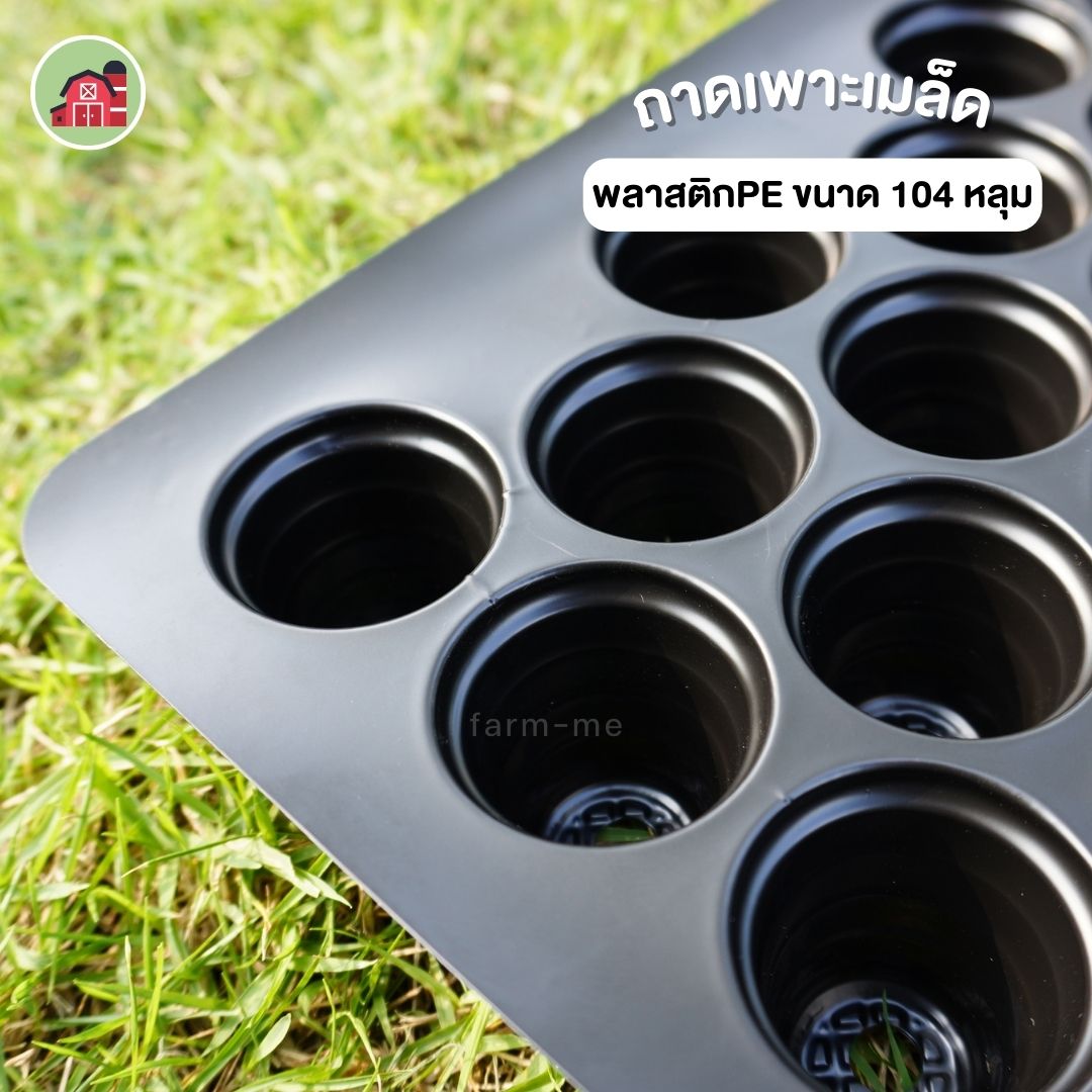 ถาดเพาะเมล็ด 104 หลุม
