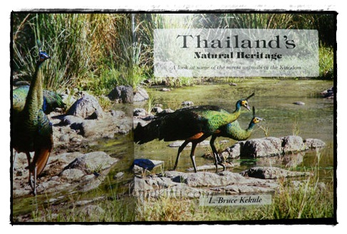THAILAND’S NATURAL HERITAGE 021897 (1)