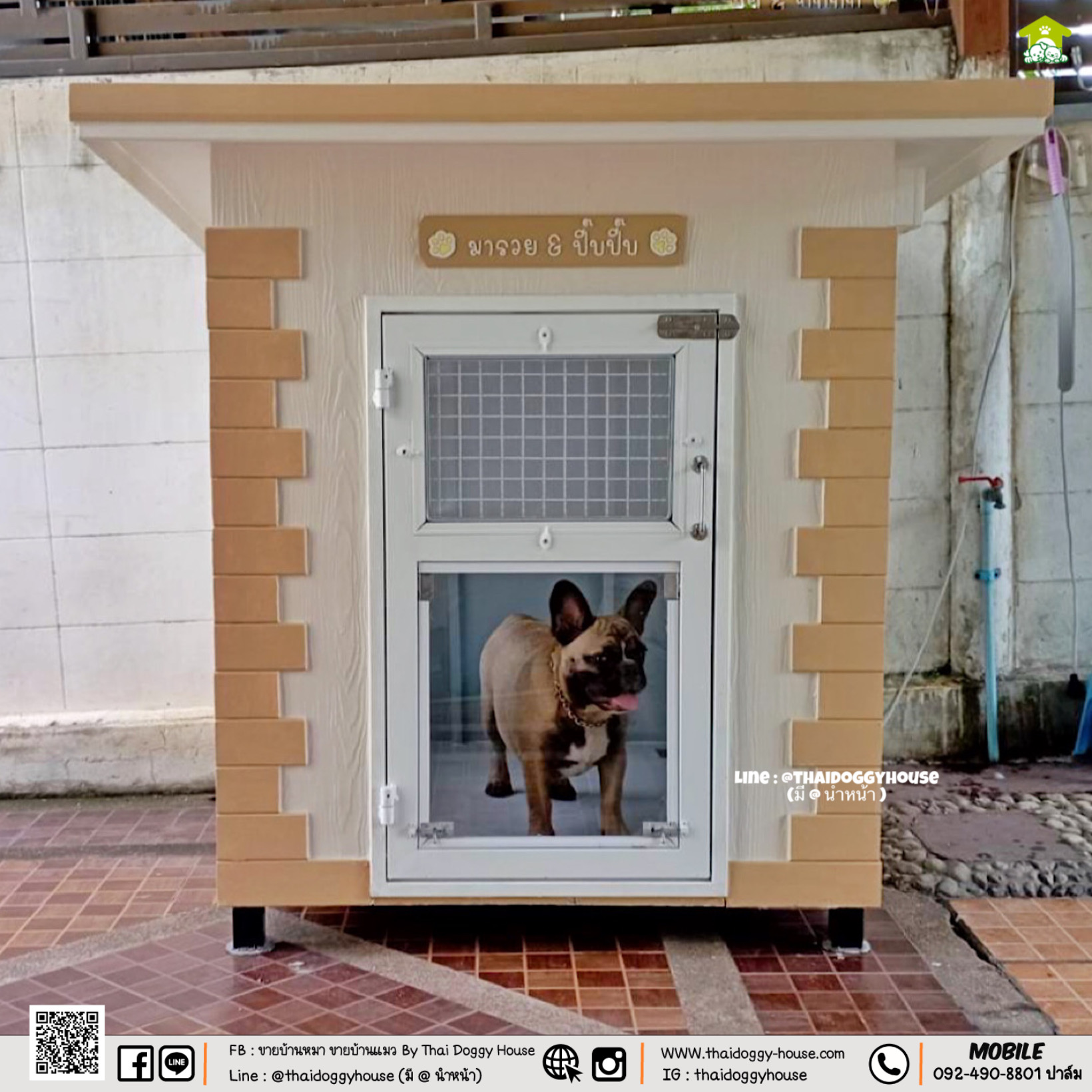บ้านหมา บ้านแมว " 𝐁𝐎𝐗 𝐒𝐓𝐘𝐋𝐄 " หลังขนาดกลางพอดีๆ กำลังน่ารัก มีพร้อมตะแกรงเหล็ก มุ้งลวด