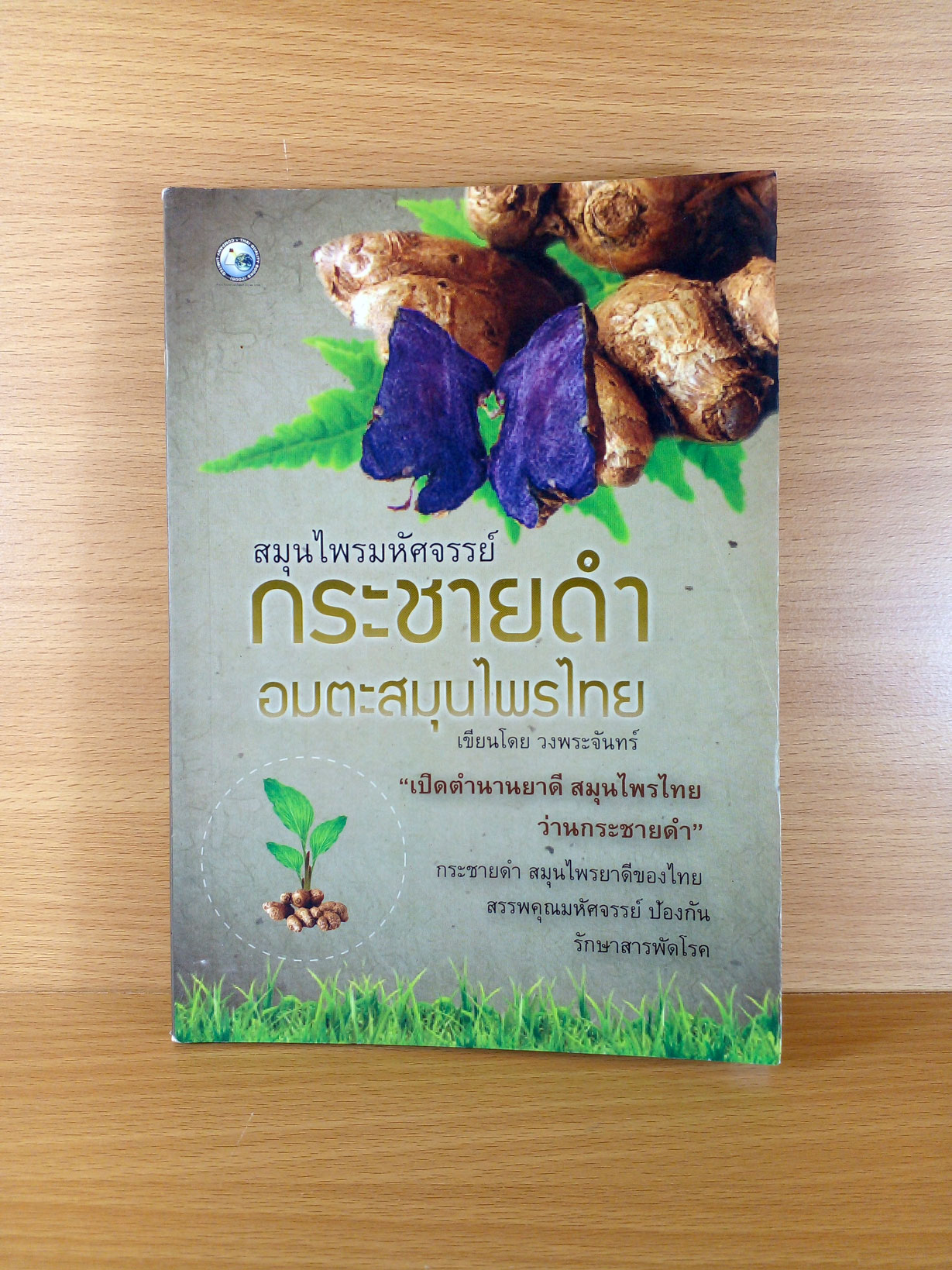 กระชายดำ อมตะสมุนไพรไทย