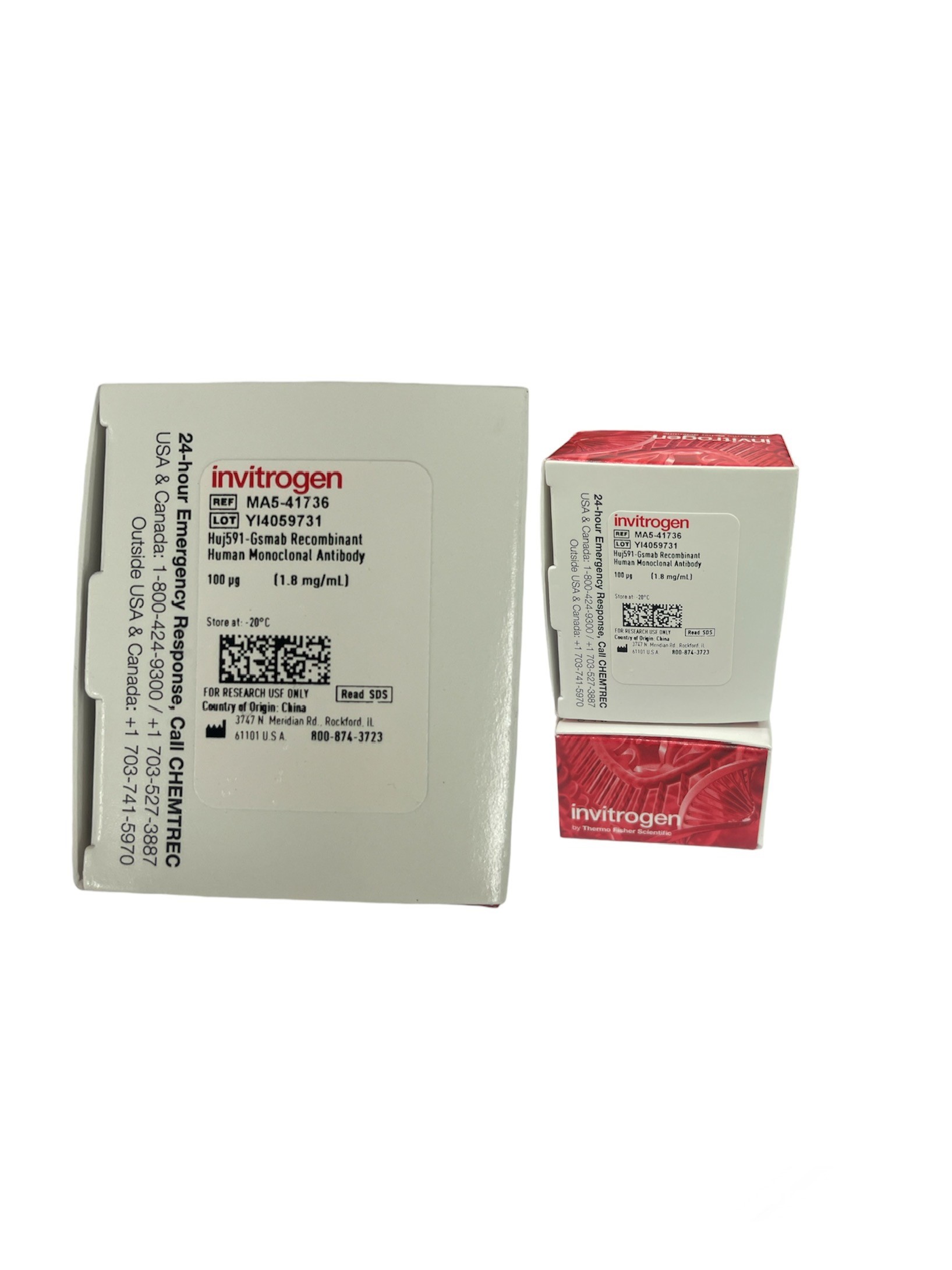 Trastuzumab Recombinant Human Monoclonal Antibody, 100 ug -Thermoscientific USA