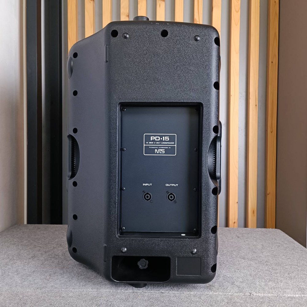 ใบละ NTS PD-15 ตู้ลำโพง15นิ้ว ตู้ลำโพง 15 นิ้ว 2 ทาง มีแป้นสำหรับสวมขาตั้ง และ สามารถวางทรงมอนิเตอร์ได้ PD15 PD 15 เอไอ-ไพศาล