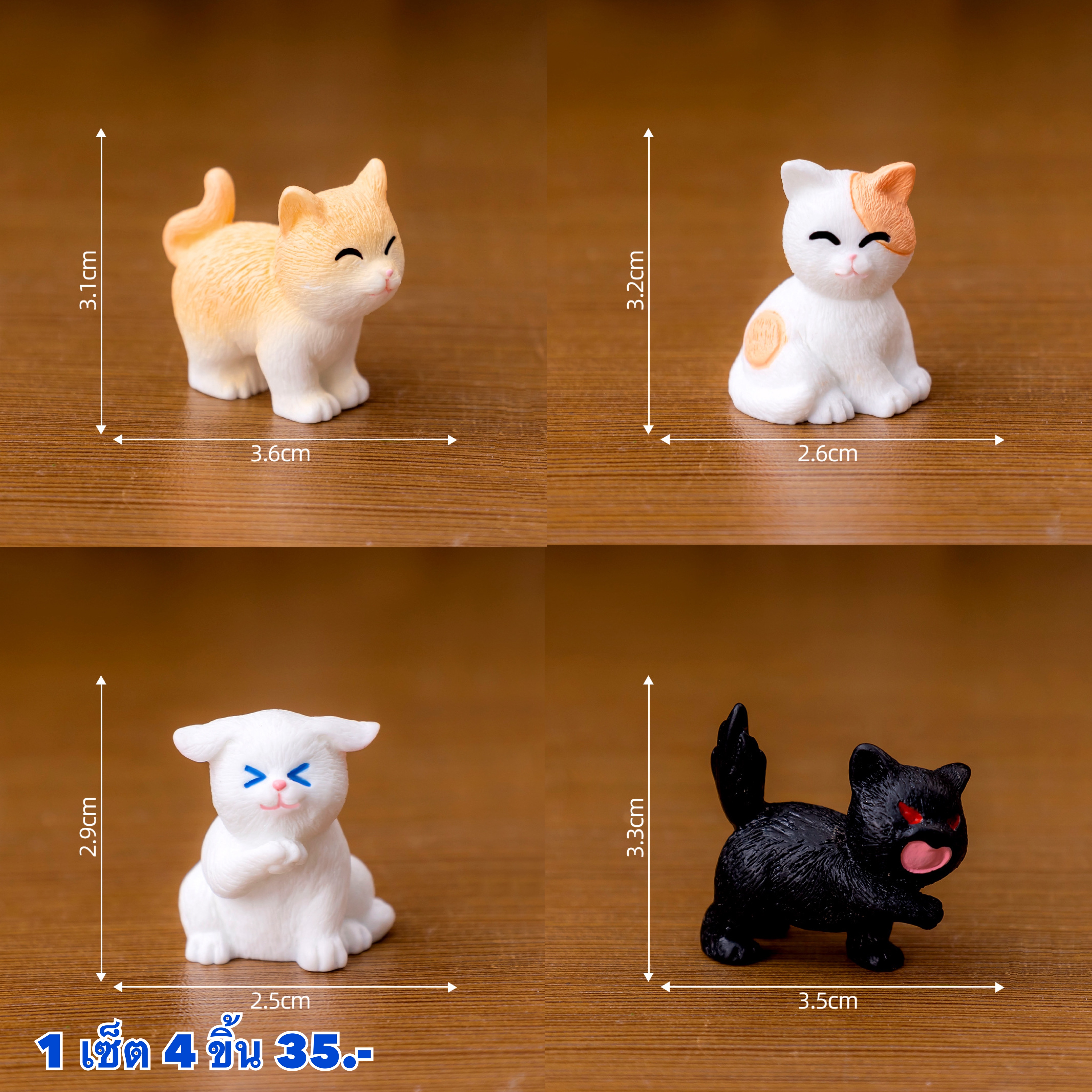 แมว 4 ชิ้น