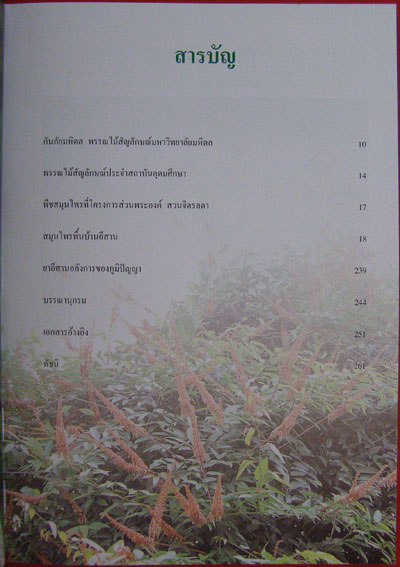 สารานุกรมสมุนไพร กกยาอีสาน (เล่ม 4) 007288 (1)