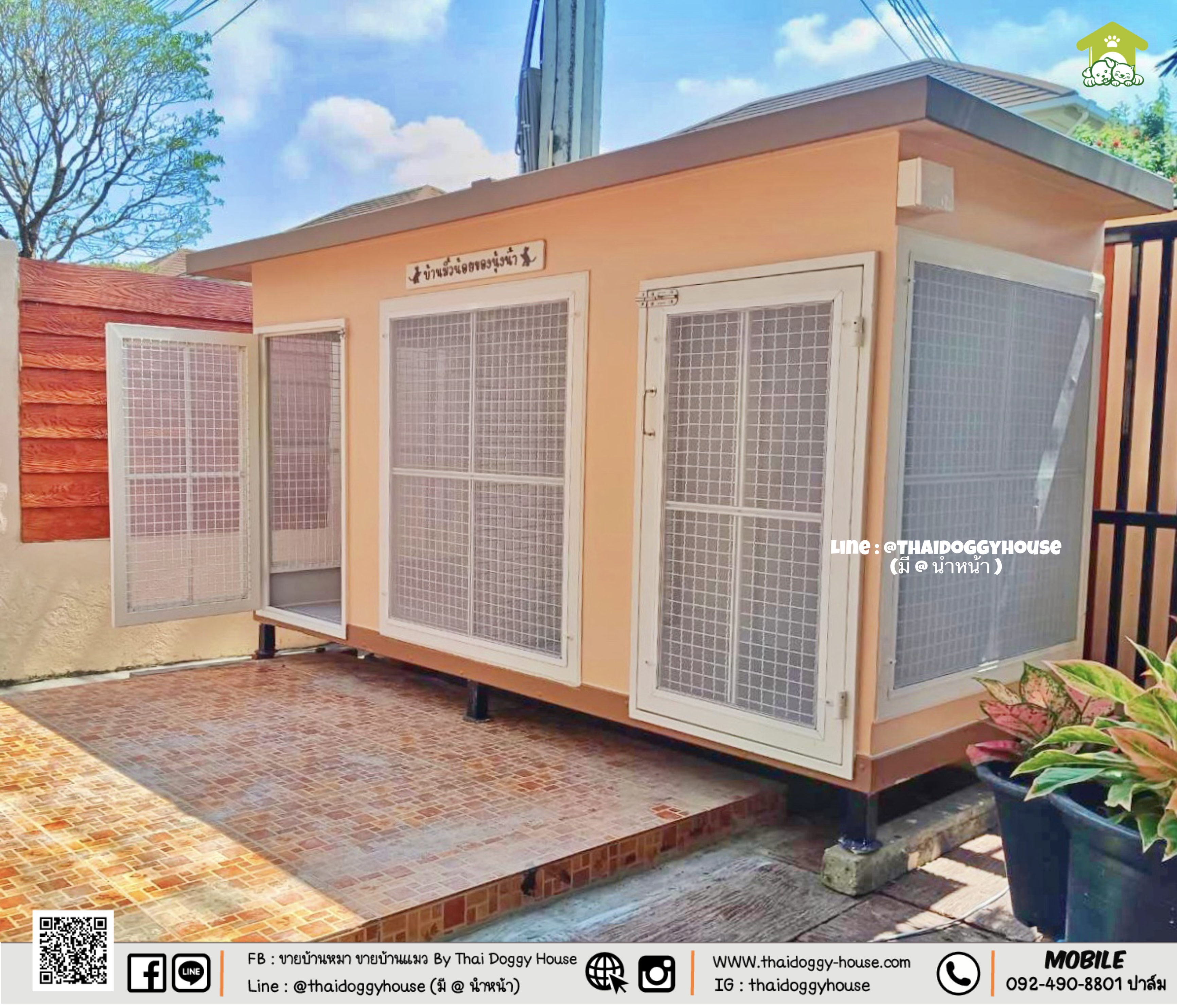 🏡 บ้านหมา บ้านแมว " 𝐁𝐎𝐗 𝐒𝐓𝐘𝐋𝐄 𝐁𝐘 𝐓𝐇𝐀𝐈 𝐃𝐎𝐆𝐆𝐘 𝐇𝐎𝐔𝐒𝐄