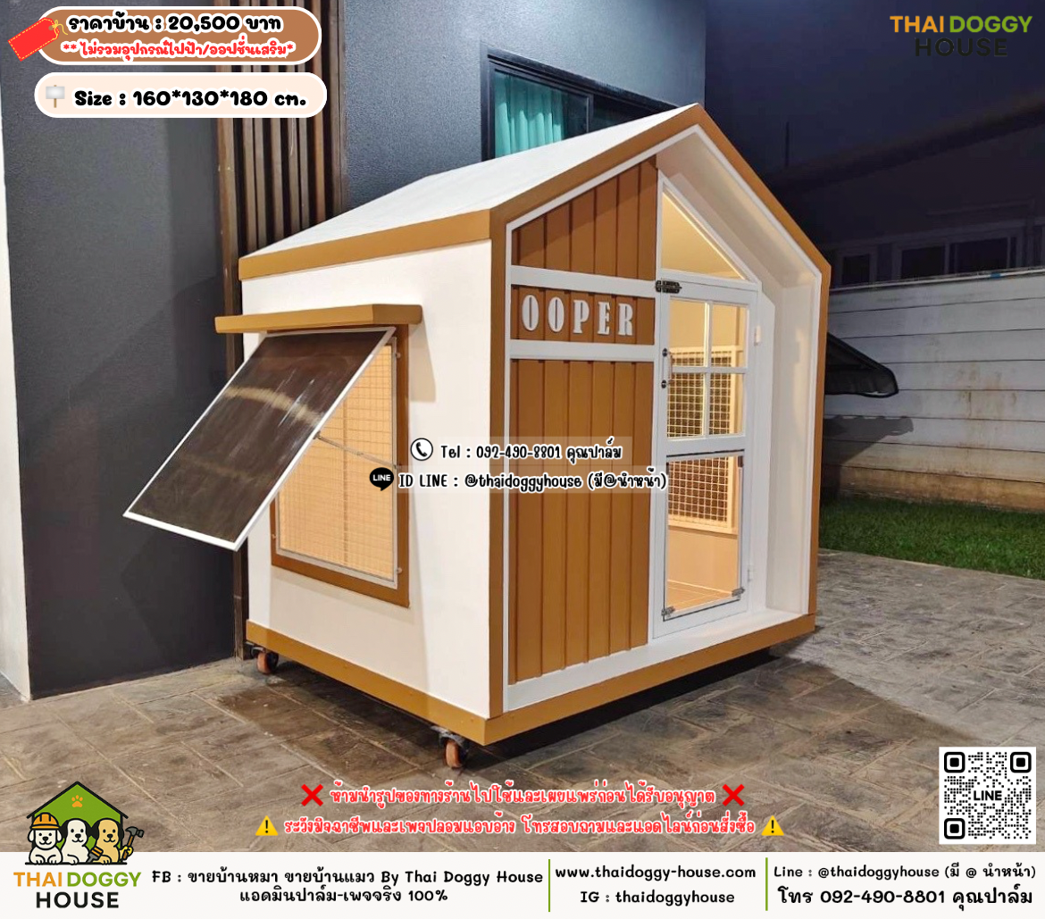 บ้านหมา บ้านแมว 𝐓𝐡𝐚𝐢 𝐝𝐨𝐠𝐠𝐲 𝐡𝐨𝐮𝐬𝗲