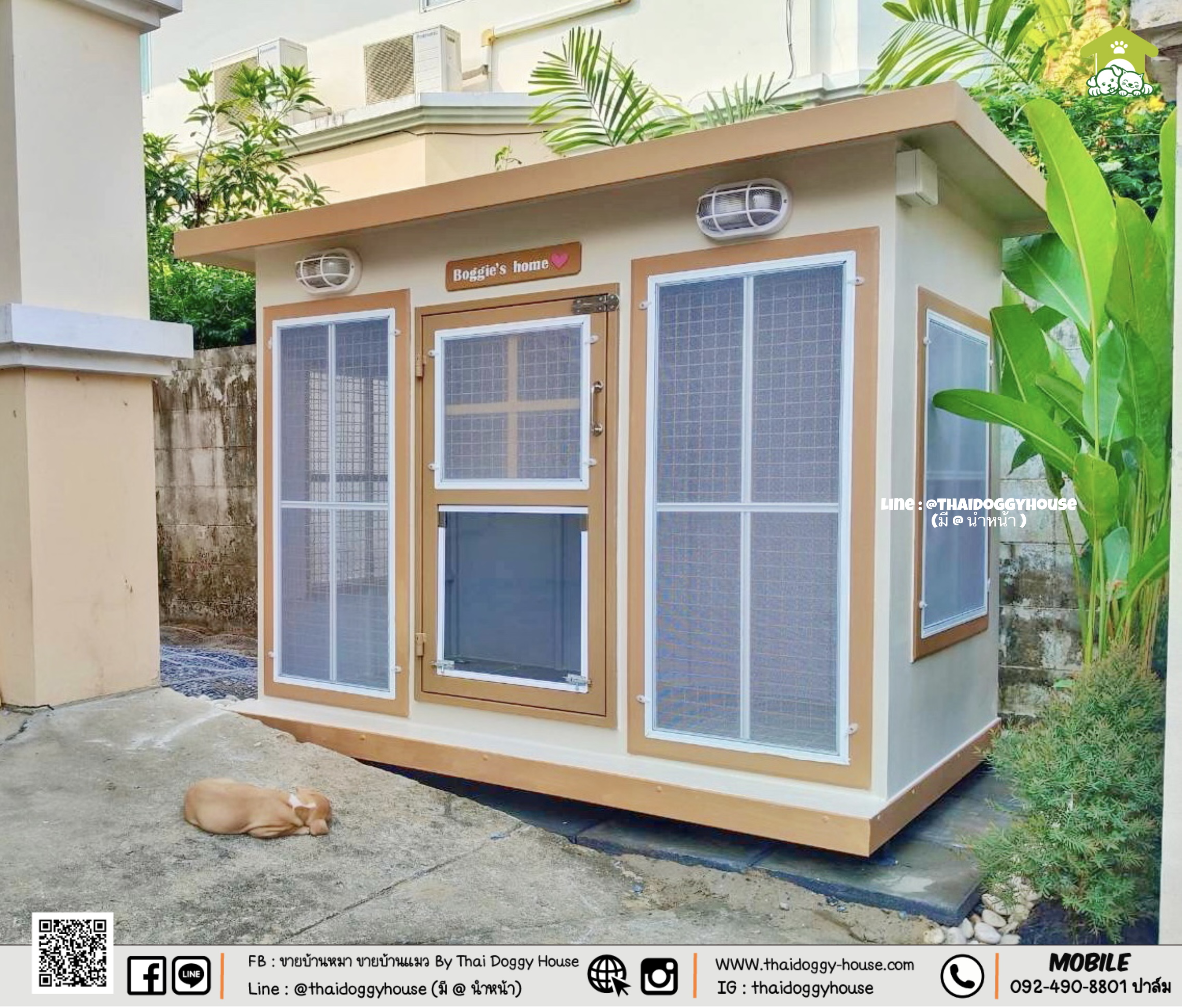 บ้านหมา บ้านแมว " 𝐁𝐎𝐗 𝐒𝐓𝐘𝐋𝐄 𝐁𝐘 𝐓𝐇𝐀𝐈 𝐃𝐎𝐆𝐆𝐘 𝐇𝐎𝐔𝐒𝐄 "
