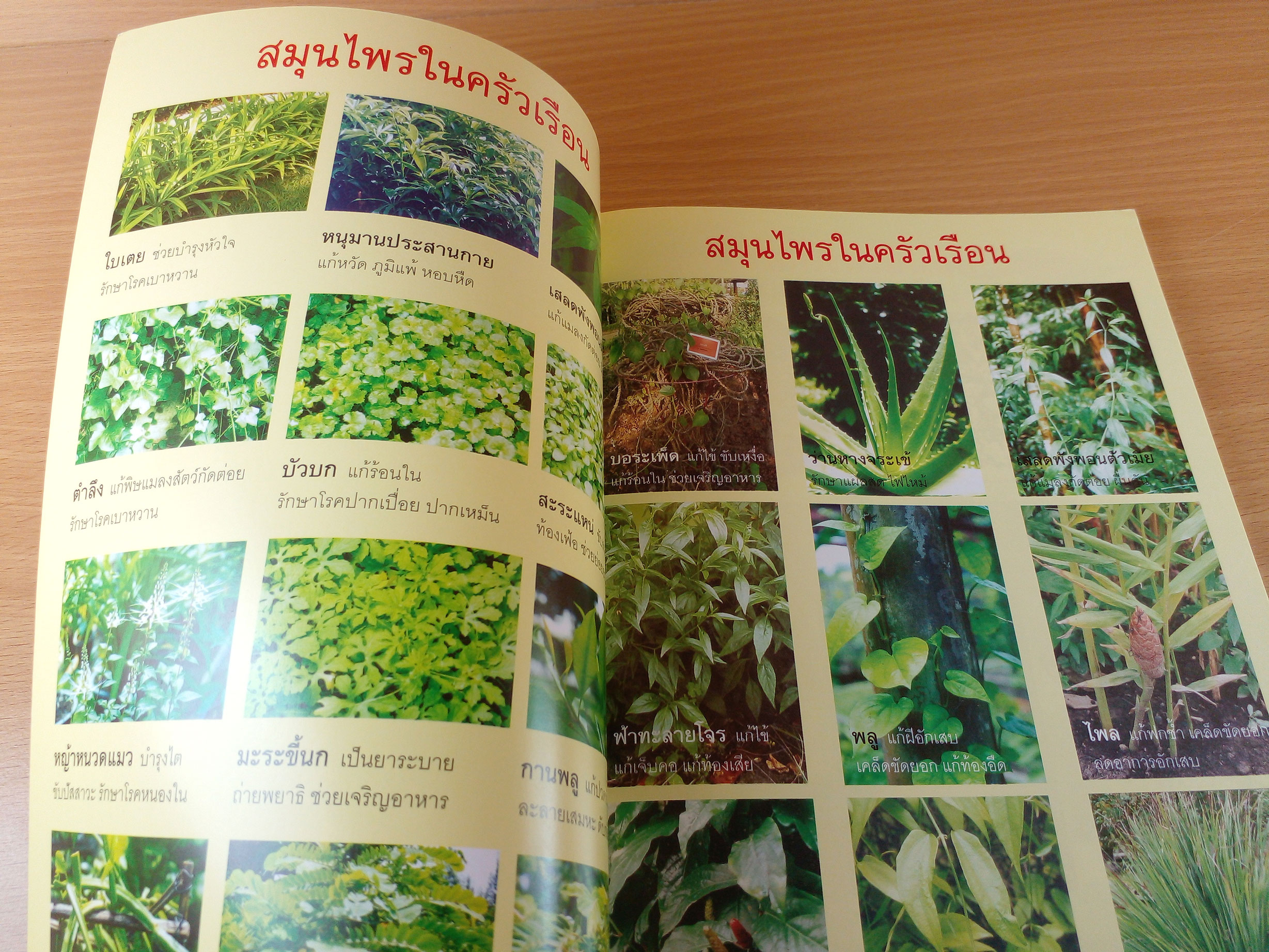 ปรุงยาสมุนไพรไว้ใช้เอง