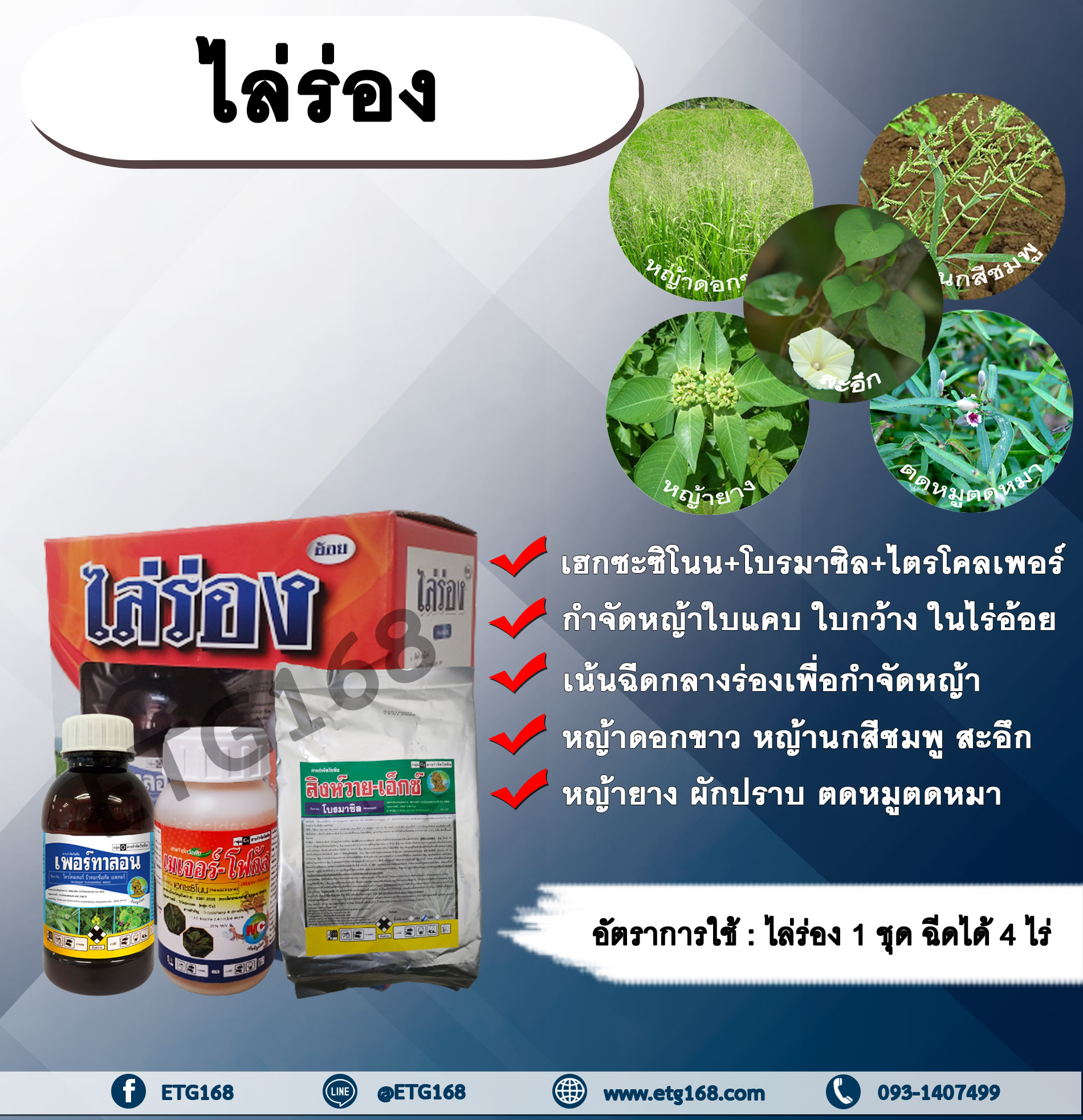 ไล่ร่อง (เฮกซะซิโนน + โบรมาซิล + ไตรโคลเพอร์) สารกำจัดวัชพืช สารกำจัดหญ้า ในไร่อ้อย กำจัดหญ้าใบแคบและใบกว้าง