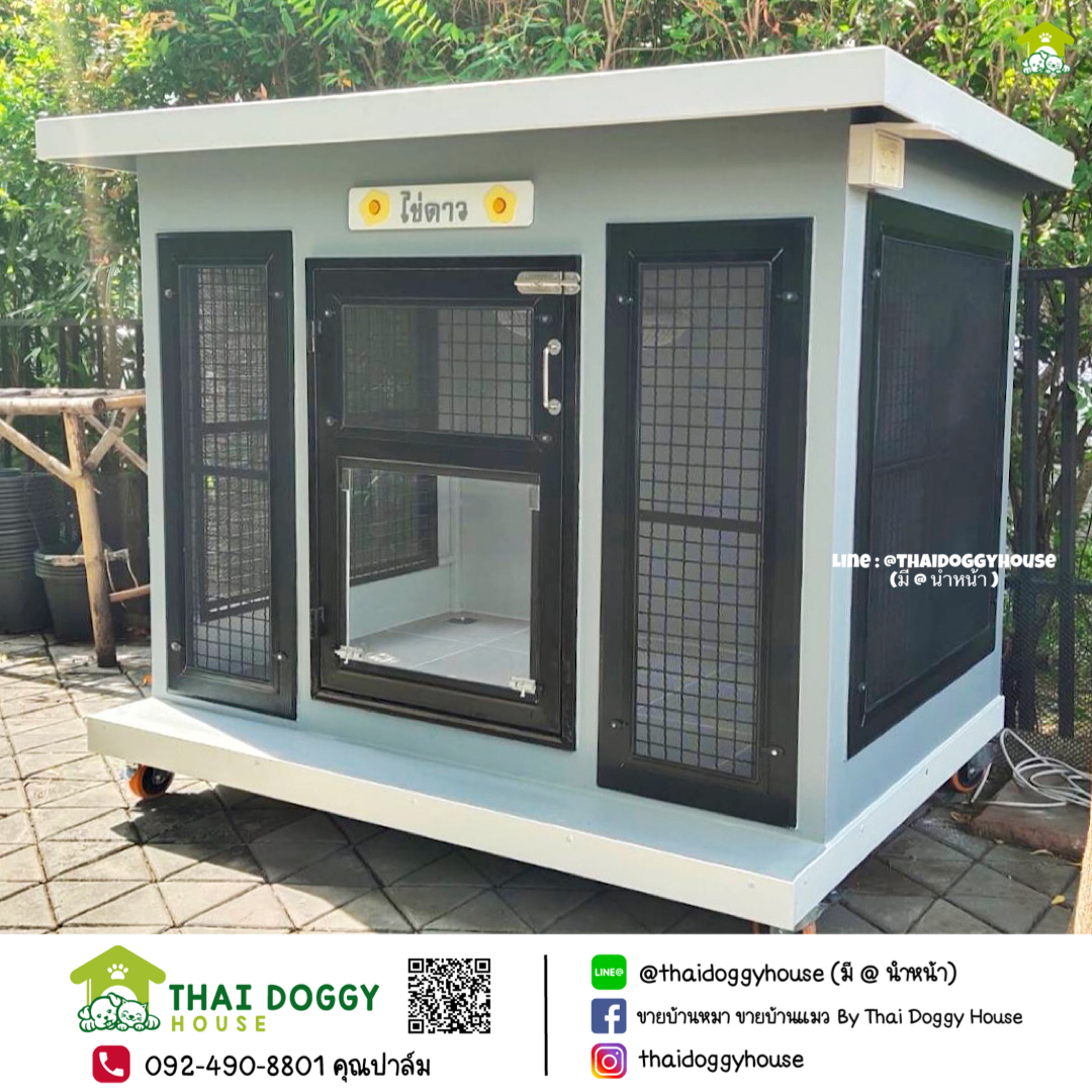 บ้านหมา บ้านแมว " 𝐁𝐎𝐗 𝐒𝐓𝐘𝐋𝐄 𝐁𝐘 𝐓𝐇𝐀𝐈 𝐃𝐎𝐆𝐆𝐘 𝐇𝐎𝐔𝐒𝐄 "