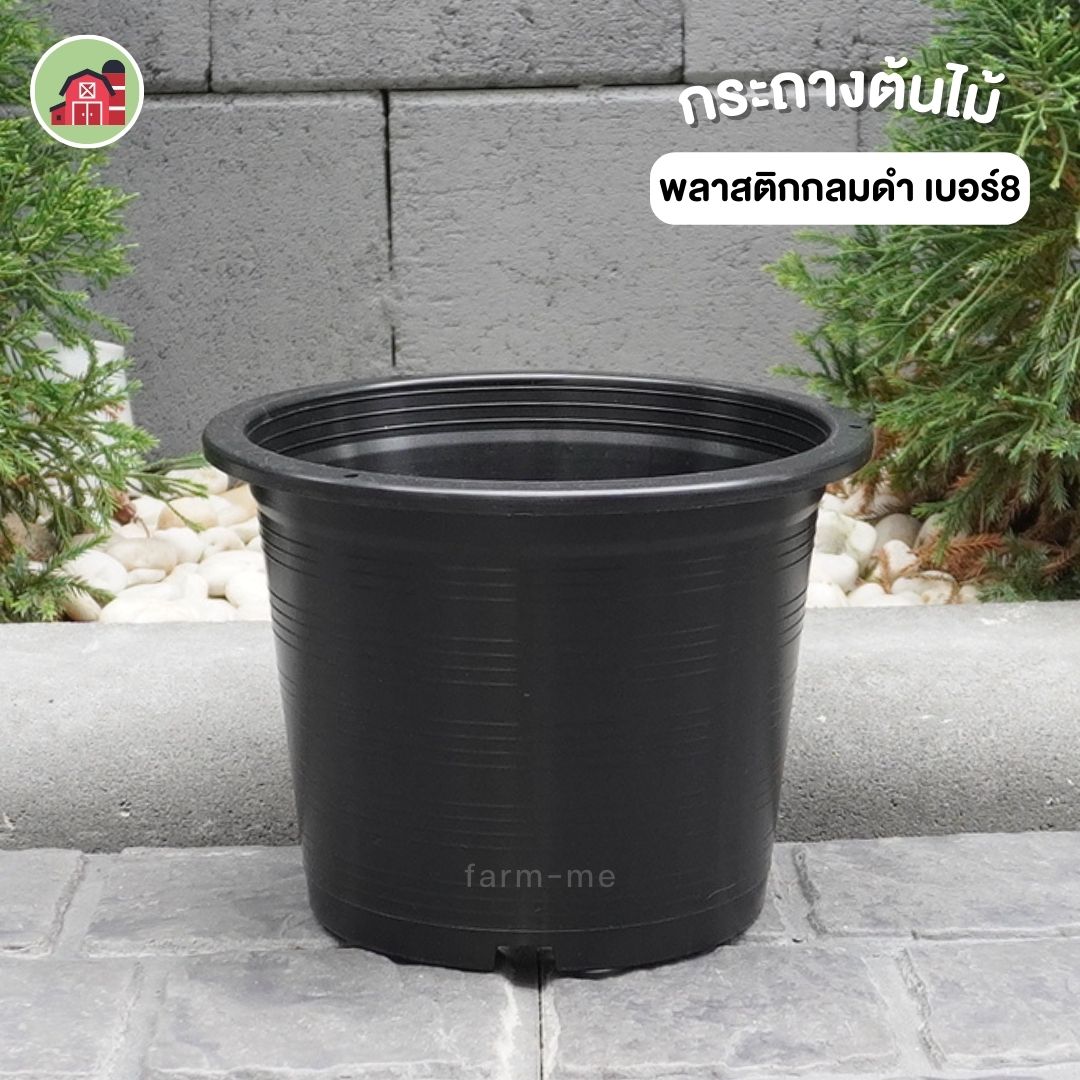 กระถางต้นไม้ กลมดำ เบอร์8