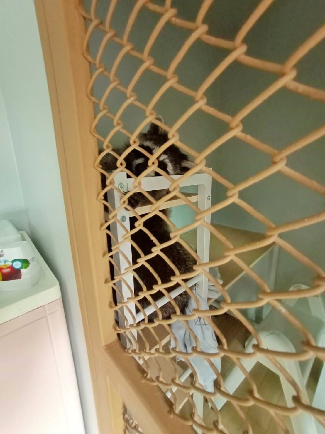 🏠 " 𝑴𝑼𝑱𝑰 𝑺𝑻𝒀𝑳𝑬 𝑪𝑨𝑻 𝑯𝑶𝑼𝑺𝑬 " 🏡 ออกแบ่งออกเป็น 2 โซน 🦥🦥