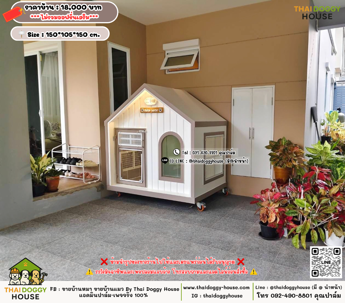 บ้านหมา บ้านแมว 𝐓𝐡𝐚𝐢 𝐝𝐨𝐠𝐠𝐲 𝐡𝐨𝐮𝐬𝗲