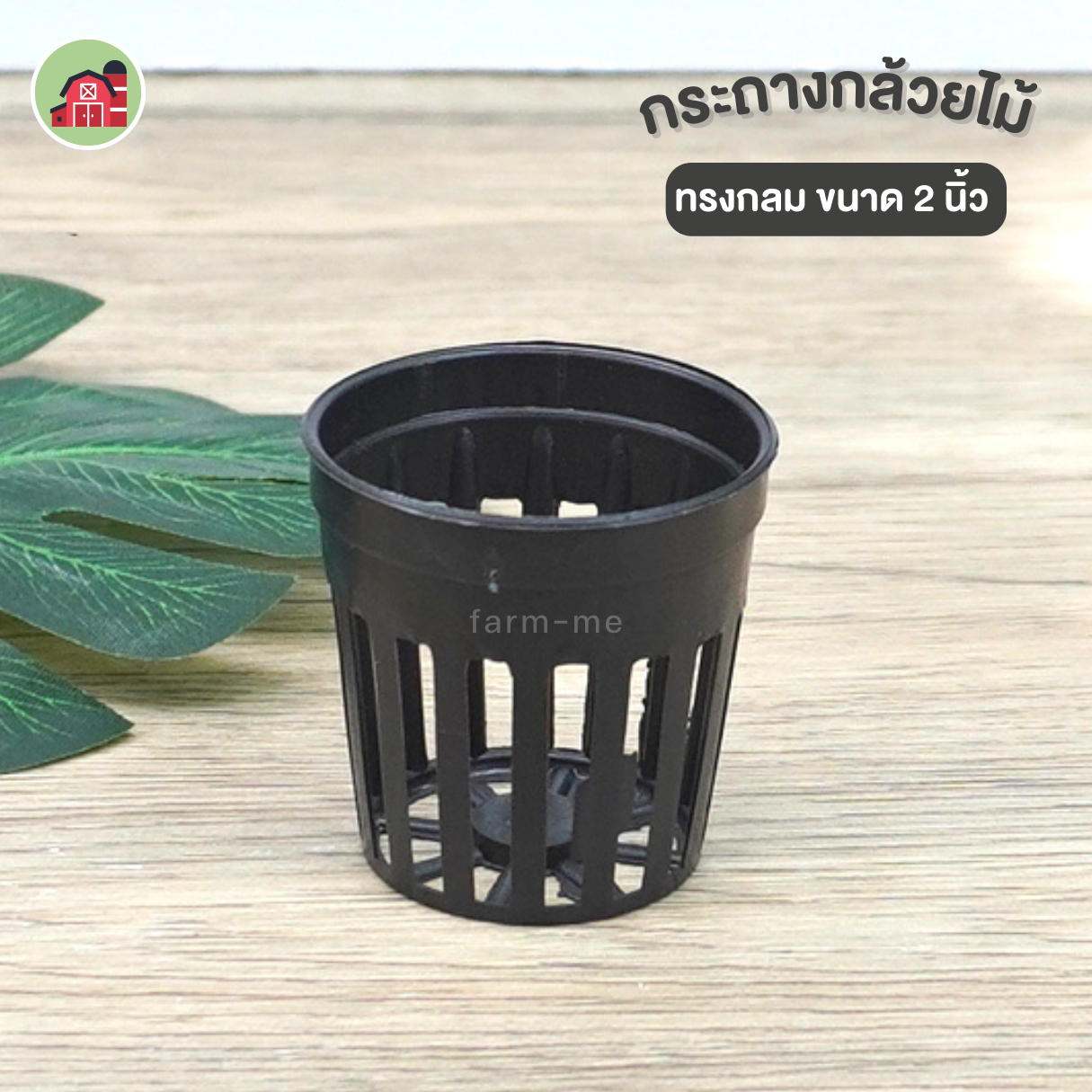 กระถางกล้วยไม้ ทรงกลม ขนาด 2 นิ้ว