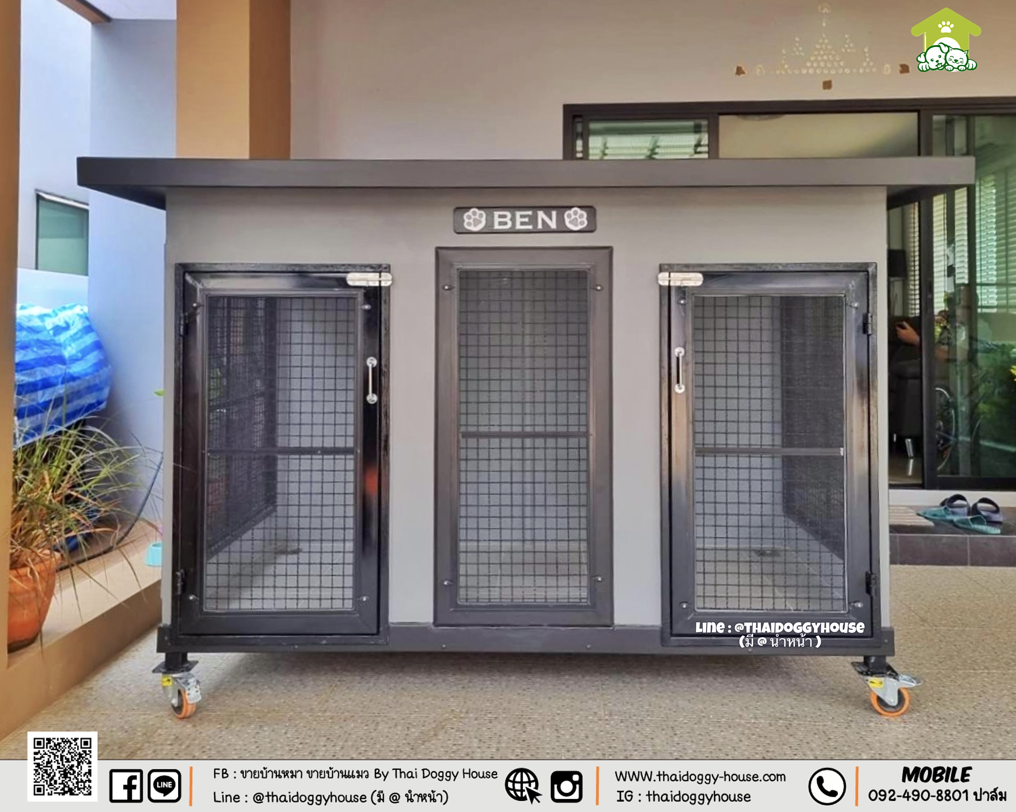 บ้านหมา บ้านแมว 𝐁𝐎𝐗 𝐒𝐓𝐘𝐋𝐄 𝐁𝐘 𝐓𝐇𝐀𝐈 𝐃𝐎𝐆𝐆𝐘 𝐇𝐎𝐔𝐒𝐄 หลังใหญ่ โปร่ง โล