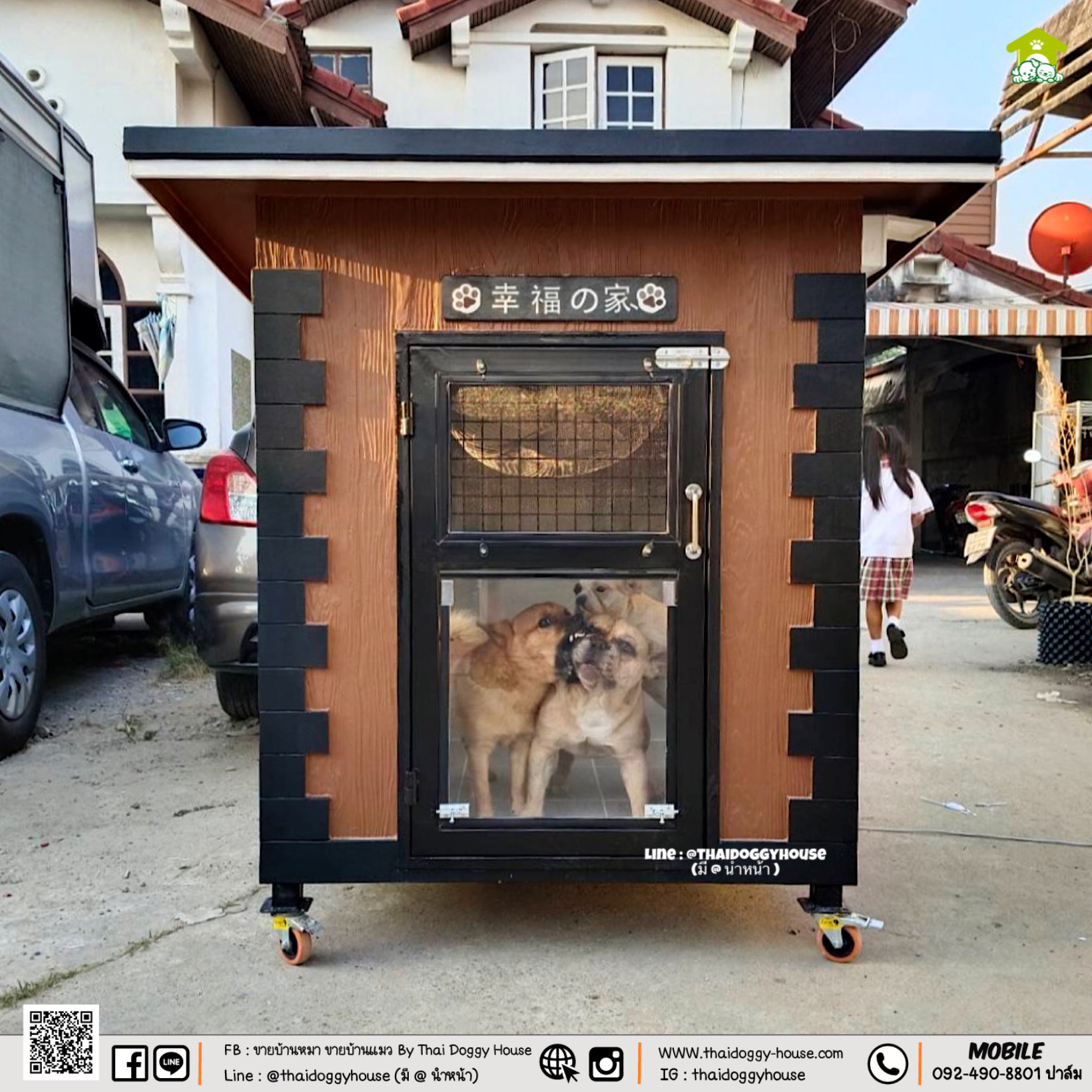 บ้านหมา บ้านแมว " 𝐁𝐎𝐗 𝐒𝐓𝐘𝐋𝐄 " หลังขนาดกลางพอดีๆ กำลังน่ารัก มีพร้อมตะแกรงเหล็ก มุ้งลวด