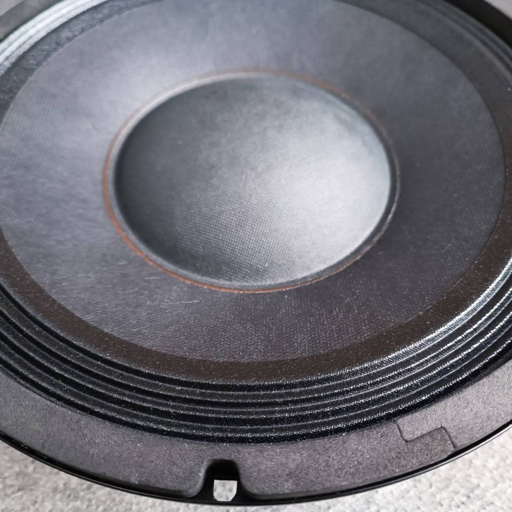 1ดอก NPE EW-1003 ลำโพง 10" ดอกลำโพง ลำโพง10นิ้ว ลำโพงNPE EW1003 ดอกตู้ลำโพง ดอกตู้ลำโพงNPE EW 1003 เอไอ-ไพศาล