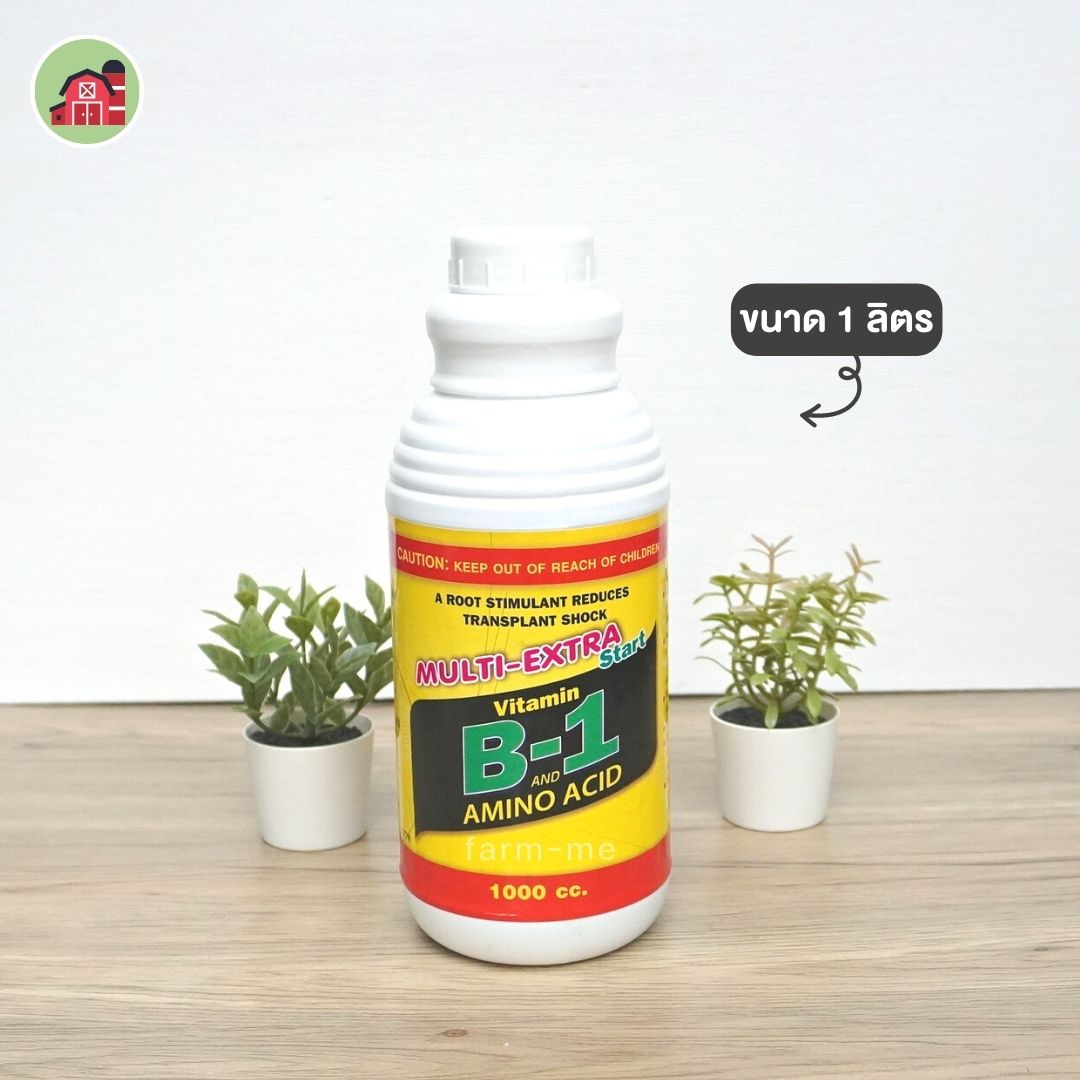 วิตามิน B1