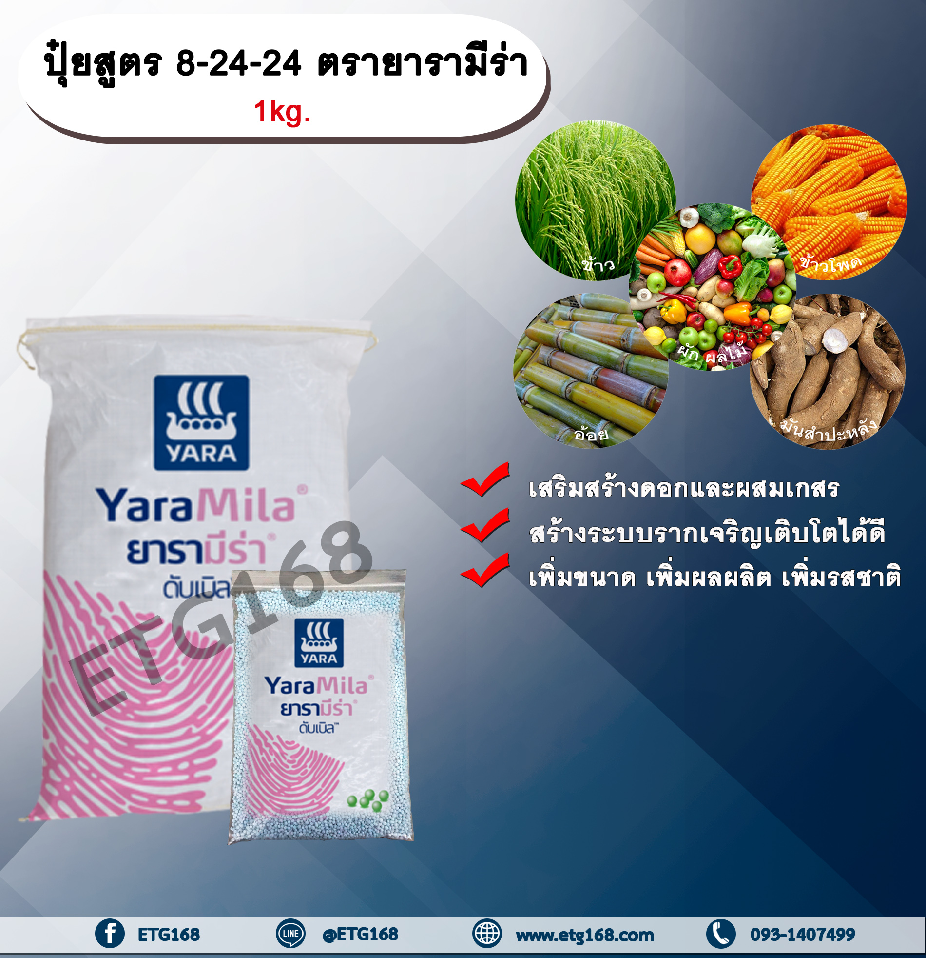 ปุ๋ยสูตร 8-24-24 ตรายารามีร่า 1kg. เสริมสร้างดอก ผสมเกสร สร้างระบบราก รากเจริญเติบโตเพิ่มขนาด