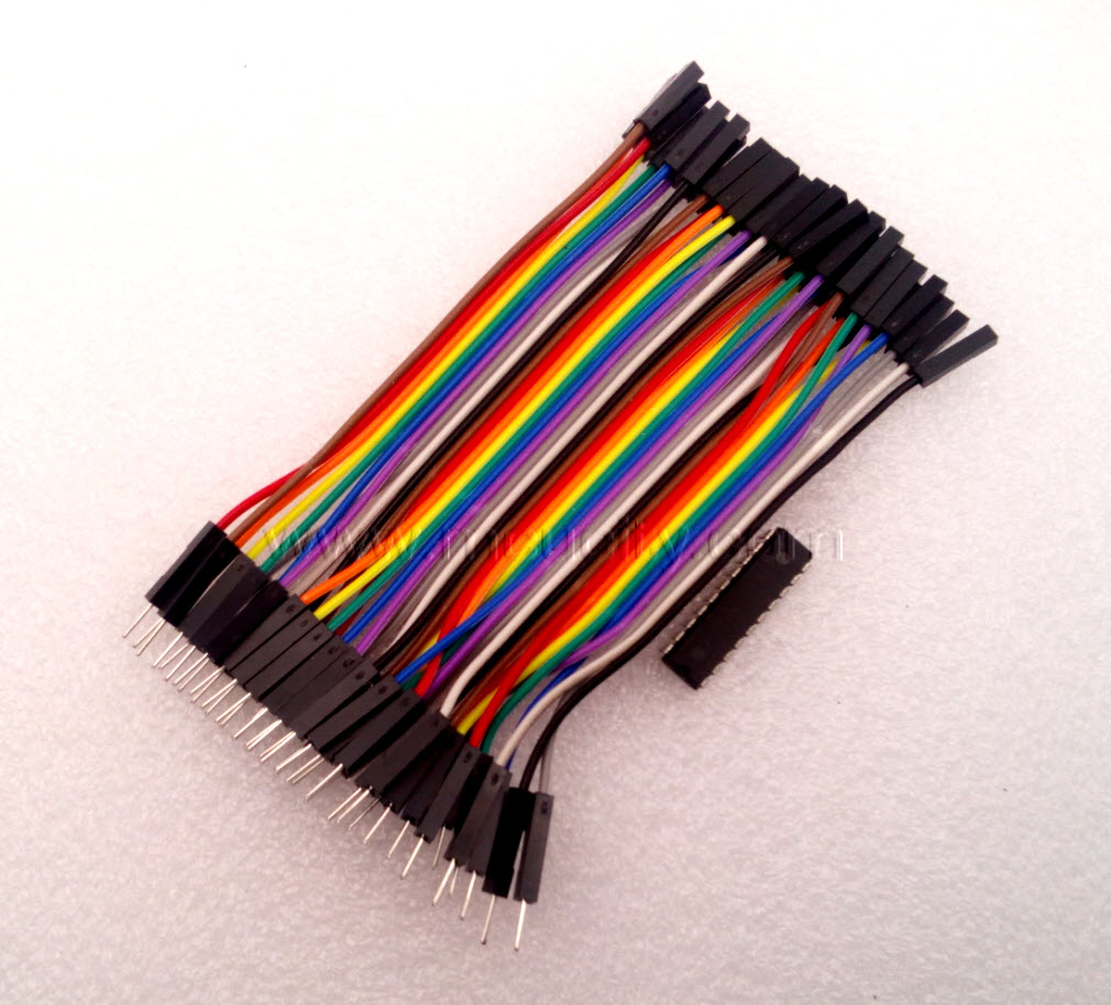 สาย (2.54mm) 40 pin to 40 pin (Female-Male) 10 cm