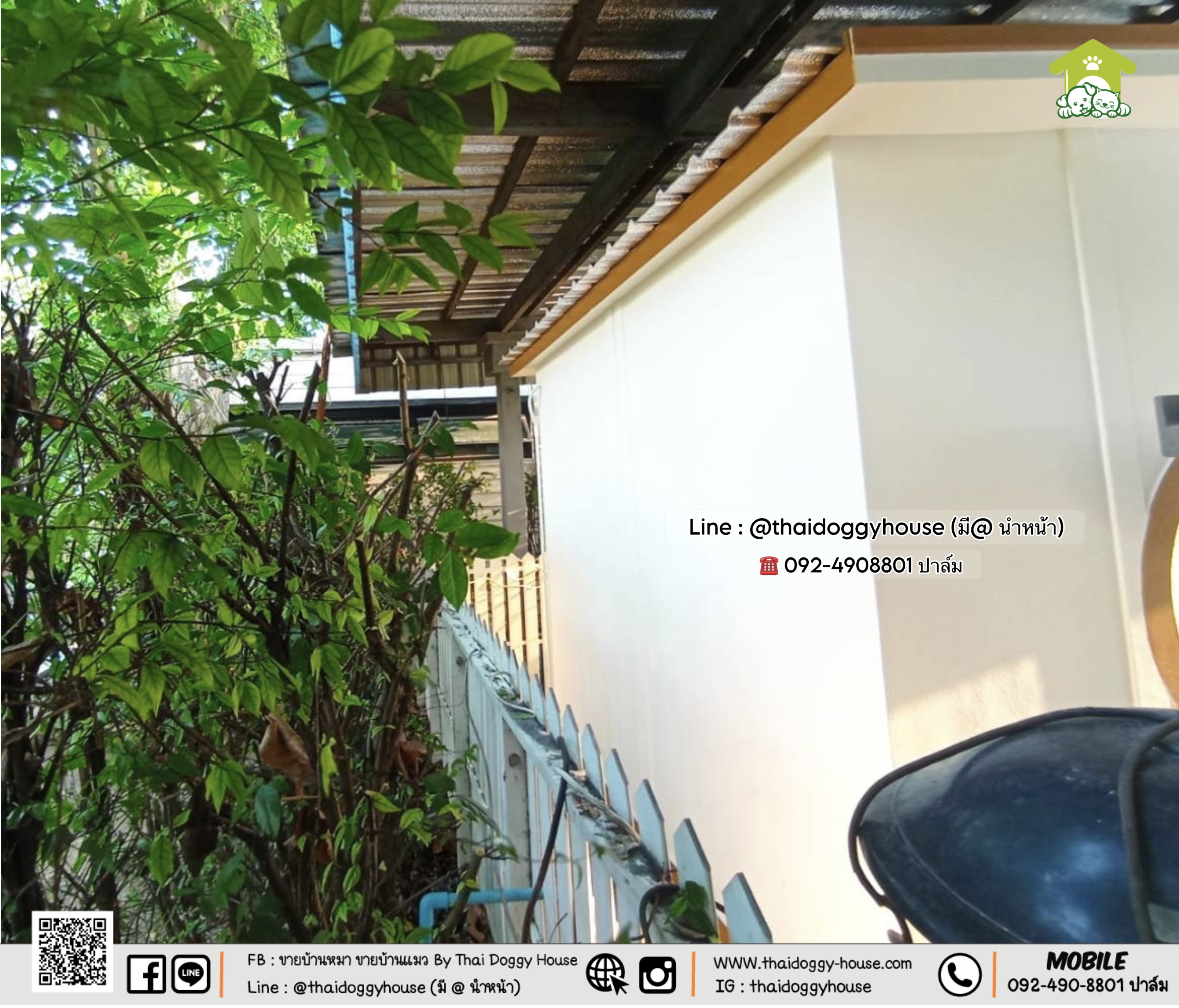 บ้านหมา บ้านแมว 𝐓𝐡𝐚𝐢 𝐝𝐨𝐠𝐠𝐲 𝐡𝐨𝐮𝐬𝐞🐶🐱 𝐌𝐮𝐣𝐢 𝐦𝐢𝐧𝐢𝐦𝐚l