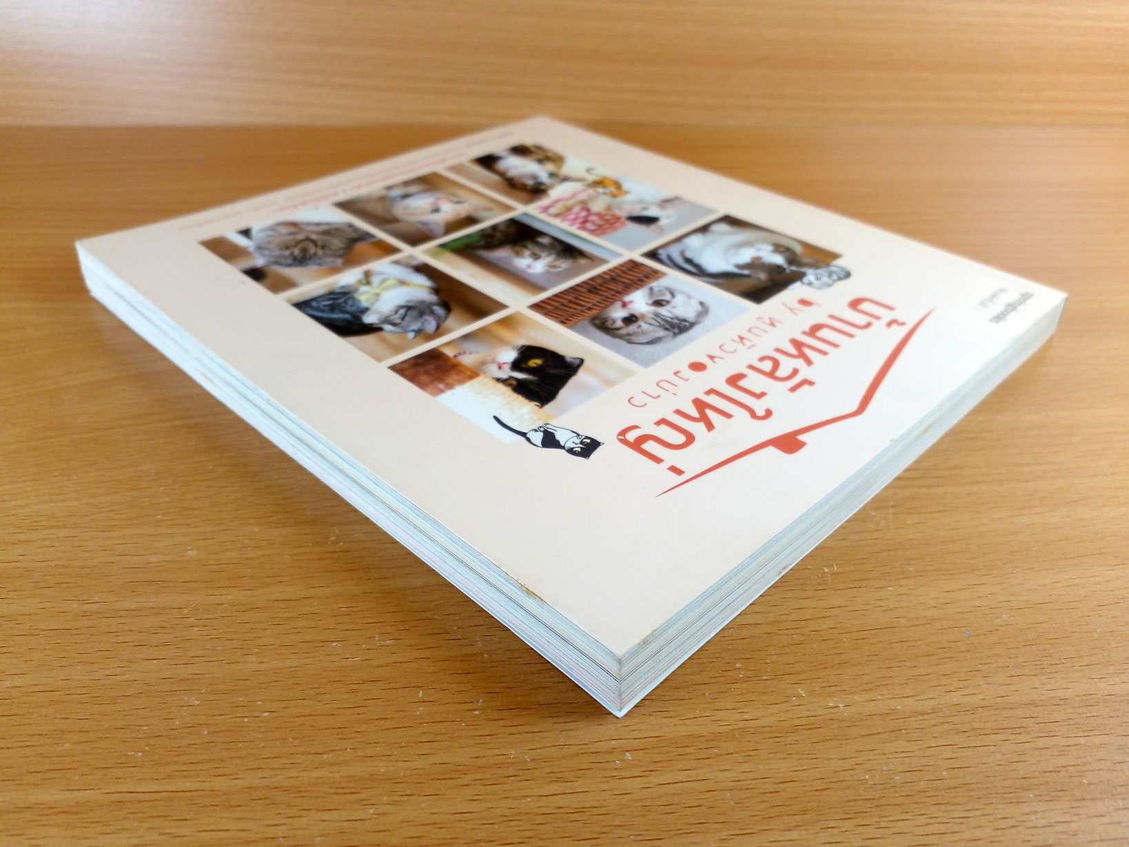 บ้านหลังใหญ่ by ทูนหัวของบ่าว