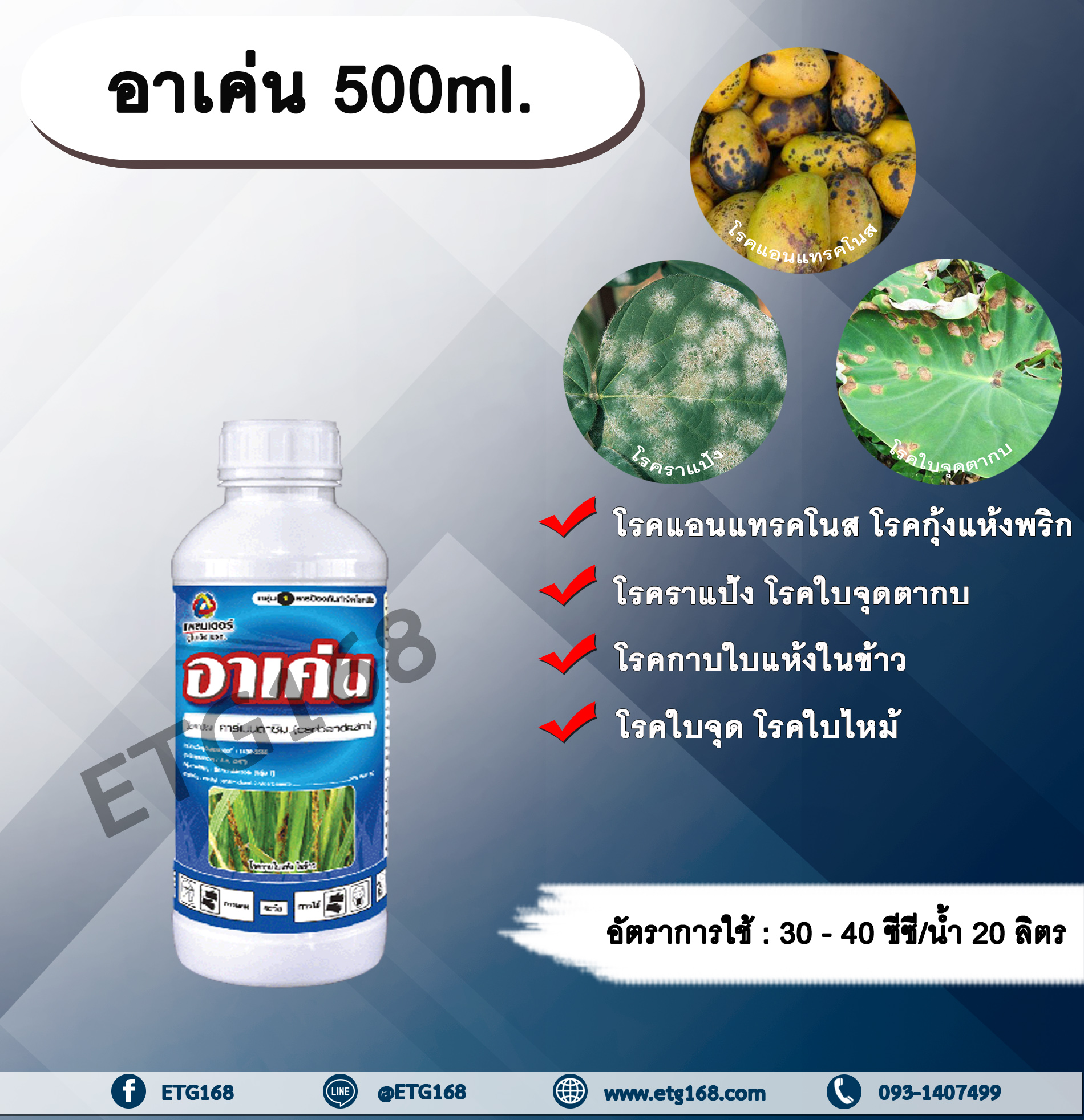 อาเค่น 500ml. คาร์เบนดาซิม สารป้องกันและกำจัดเชื้อรา แบบดูดซึม โรคราแป้ง โรคแอนแทรกโนส โรคกุ้งแห้งพริก โรคใบไหม้ โรคใบจุด โรคใบจุดตากบ โรคกาบใบแห้งในข้าว โรคพืช เชื้อรา กำจัดโรคพืช