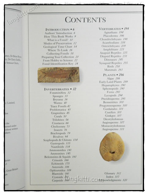 EYEWITNESS HANDBOOKS : FOSSILS 023856
