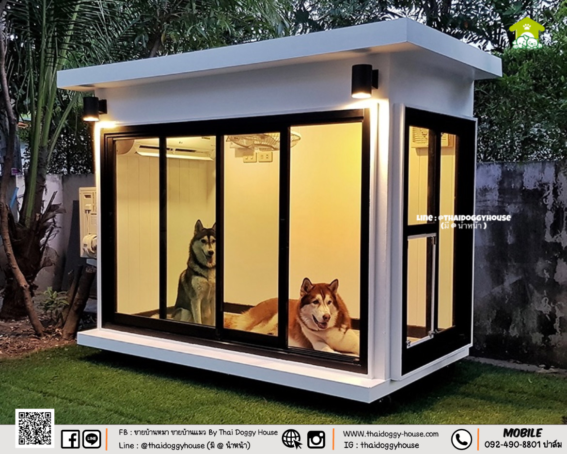 บ้านหมา บ้านแมว บ้านสัตว์เลี้ยง " 𝐁𝐎𝐗 𝐒𝐓𝐘𝐋𝐄 𝐁𝐘 𝐓𝐇𝐀𝐈 𝐃𝐎𝐆𝐆𝐘 𝐇𝐎𝐔𝐒