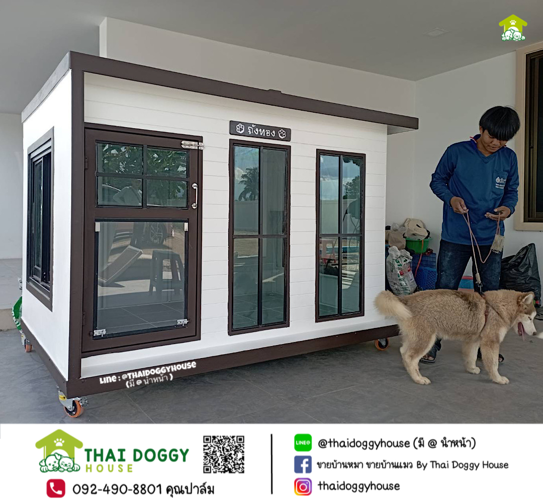 บ้านหมา บ้านแมว " 𝐁𝐎𝐗 𝐒𝐓𝐘𝐋𝐄 𝐁𝐘 𝐓𝐇𝐀𝐈 𝐃𝐎𝐆𝐆𝐘 𝐇𝐎𝐔𝐒𝐄 "