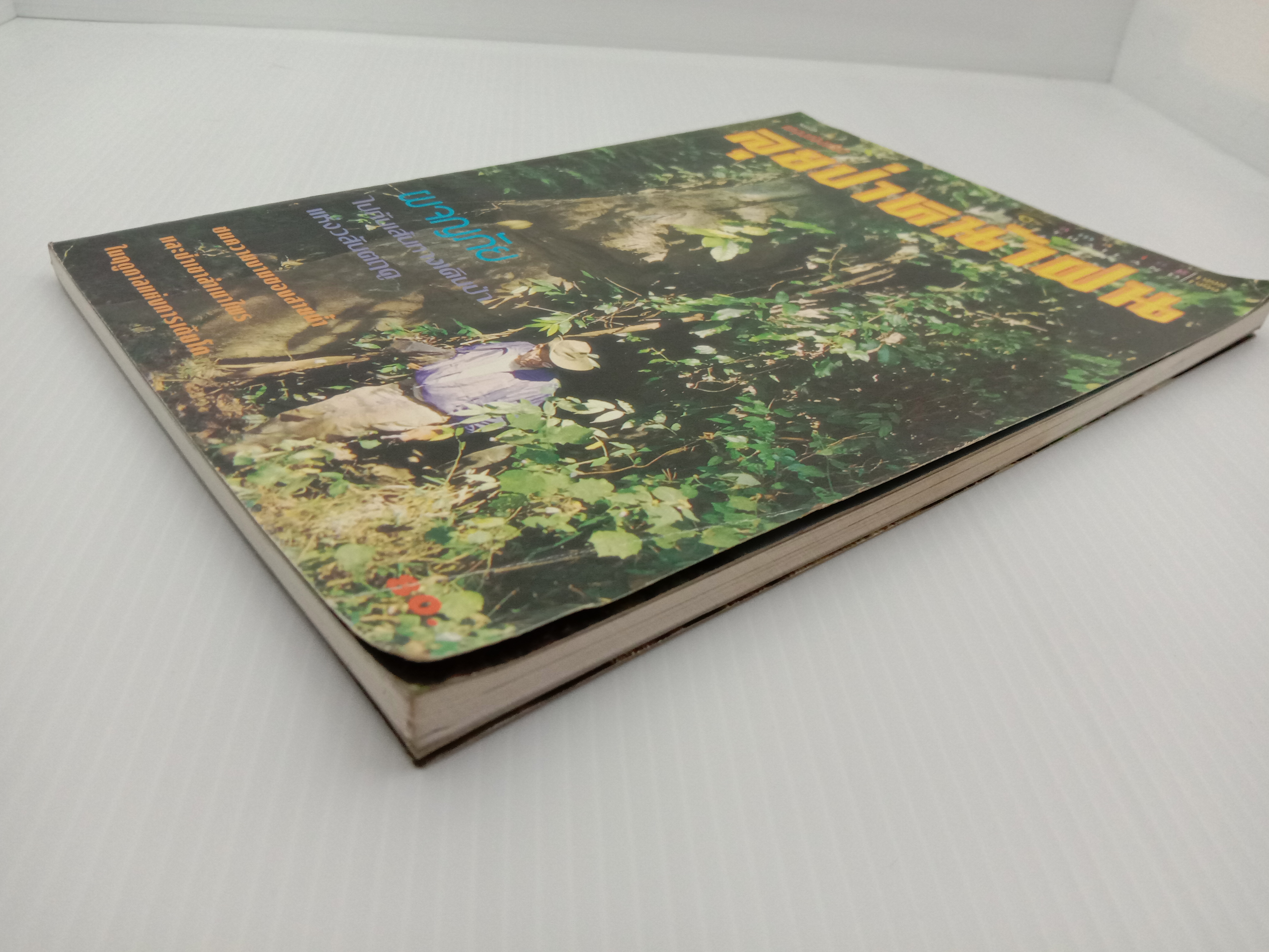 ลุยป่าหน้าฝน