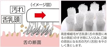 😝Ebisu tongue cleaner rubber grip ที่แปรงลิ้นขนแปรงนุ่ม เข้าสู่ช่องว่างระหว่างปุ่มลิ้นและค่อยๆ ขจัดสิ่งสกปรกออกจากลิ้นซึ่งเป็นสาเหตุหลักของกลิ่นปาก - ✈️ส่งตรงจากญี่ปุ่น From Japan