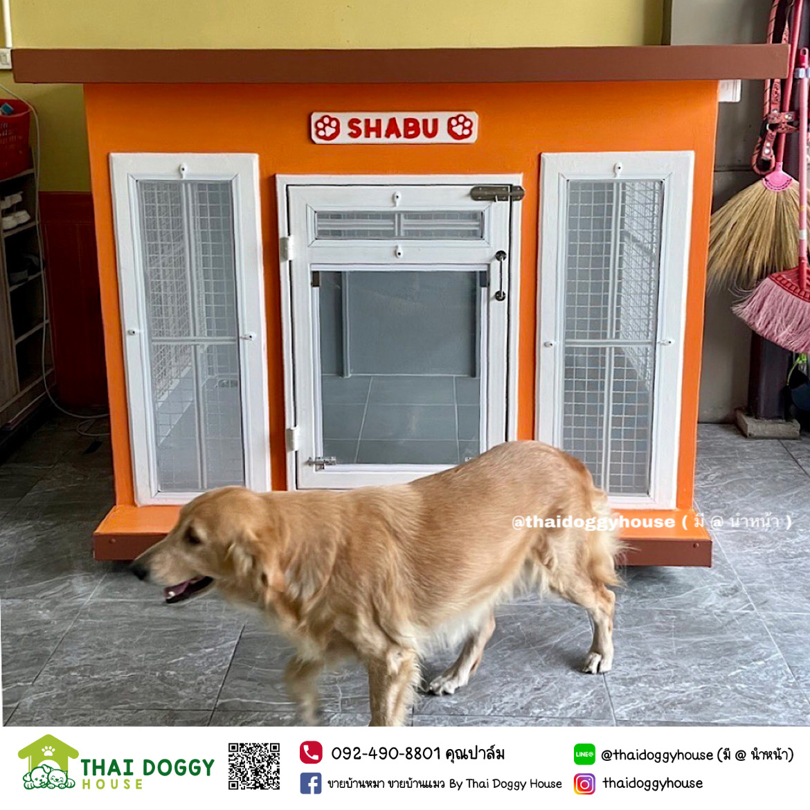 บ้านหมา บ้านแมวราคาถูก Box Style