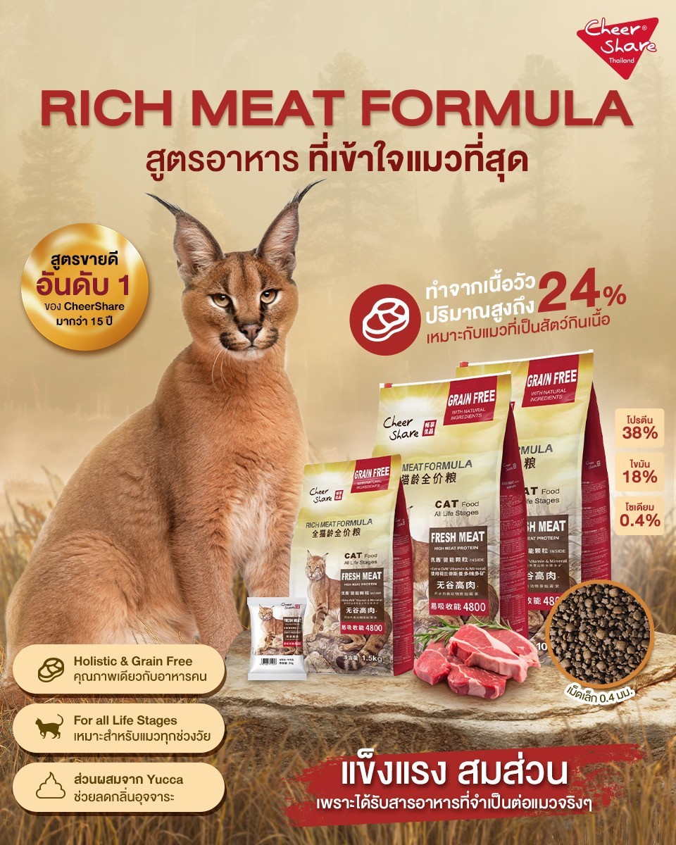 Cheer Share Rich Meat Formula สูตรอาหารแมวโต 300kg