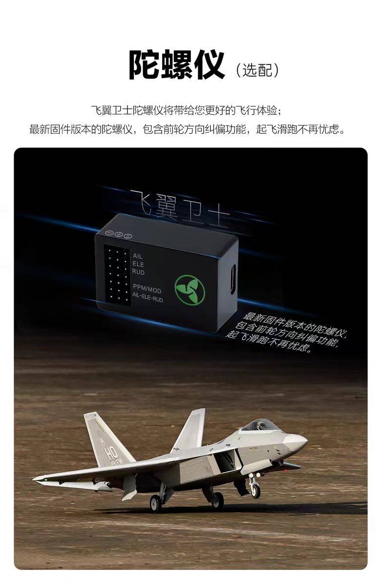 เครื่องบินโฟม ตัวลำ+ชุดไฟ Freewing F-22 Raptor & Gyro EG01 EDF80mm 6s PNP(ไม่รวมวิทยุ รีซีฟ แบต)