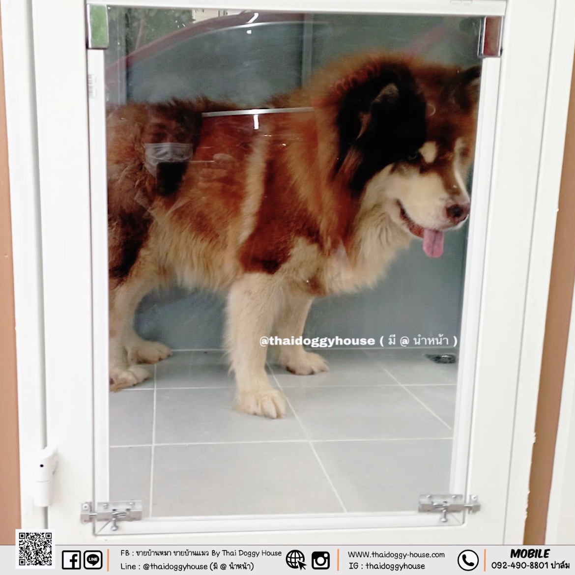 บ้านหมา บ้านแมว Box Style ตะแกรงเหล็ก มุ้งลวด