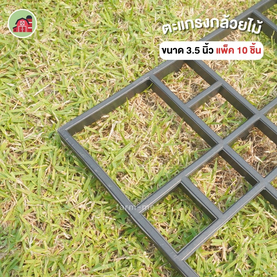 ตะแกรงกล้วยไม้ ขนาด 3.5 นิ้ว แพ็ค 10 ชิ้น