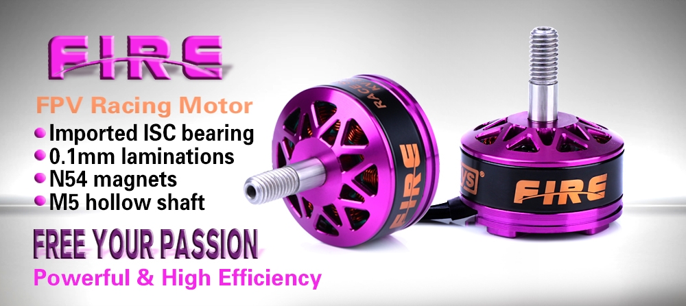 DYS FIRE 2206 - 2600KV CW