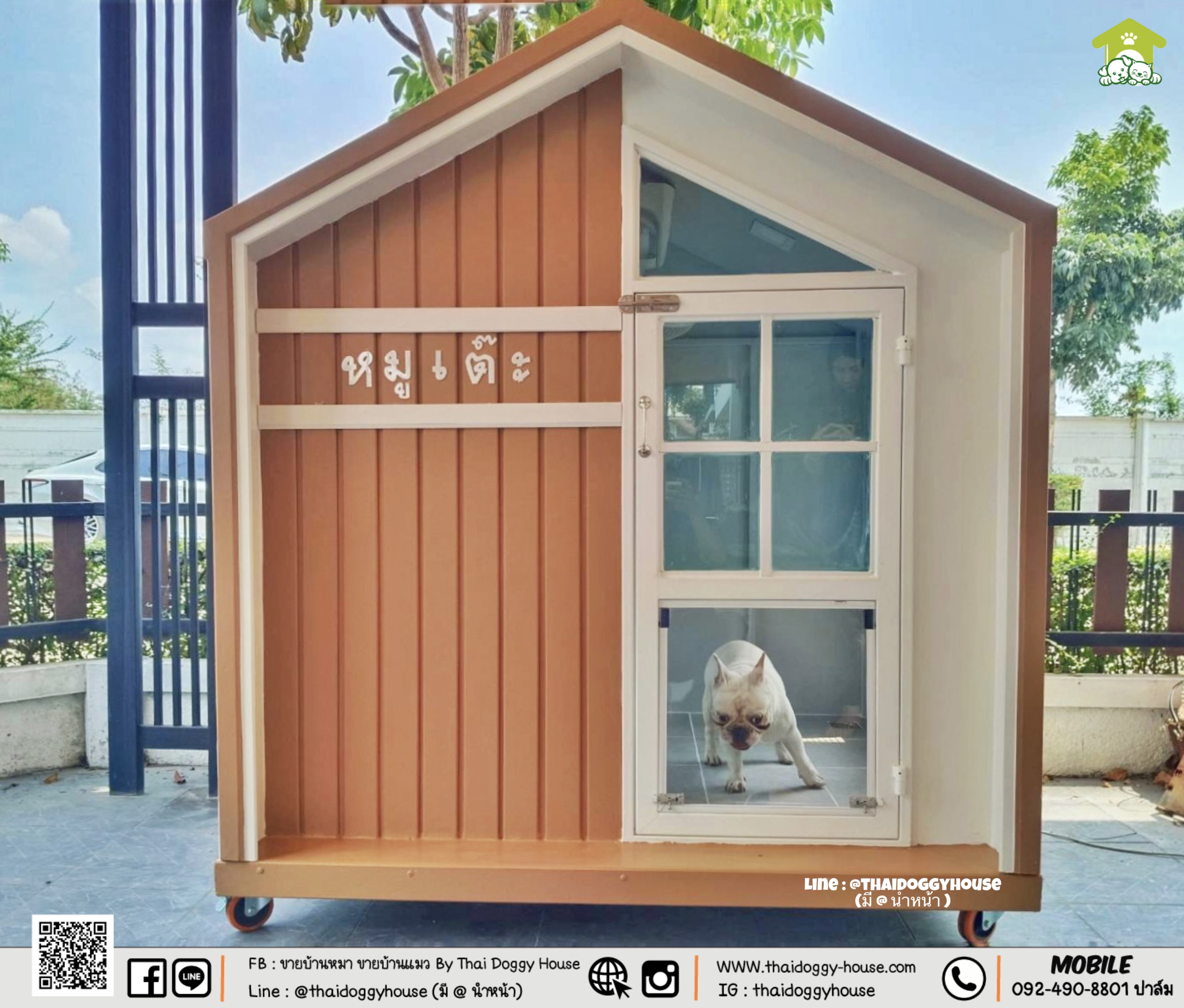𝗠𝗜𝗡𝗜𝗠𝗔𝗟 𝗦𝗧𝗬𝗟𝗘 บ้านหมา บ้านแมว " 𝐓𝐇𝐀𝐈 𝐃𝐎𝐆𝐆𝐘 𝐇𝐎USE