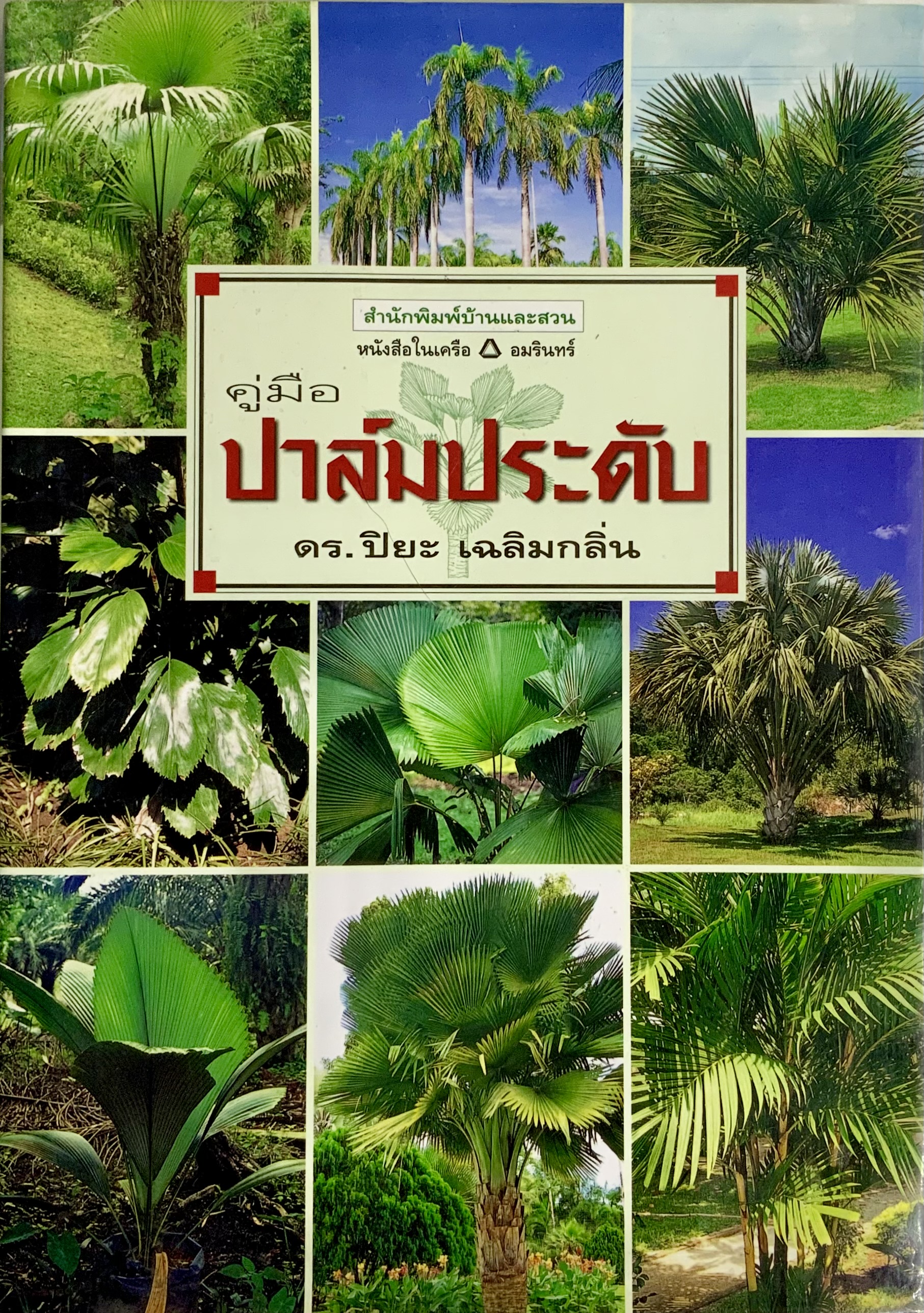 คู่มือปาล์มประดับ 027181