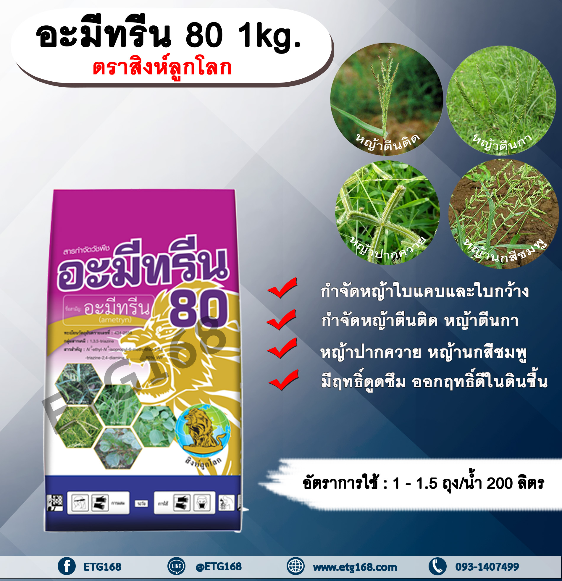 อะมีทรีน 80 1kg. ตราสิงห์ลูกโลก อะมีทรีน อามีทรีน สารกำจัดวัชพืช กำจัดหญ้า ใบแคบและใบกว้าง แบบดูดซึม ชนิดผง กำจัดหญ้า หญ้าตีนติด