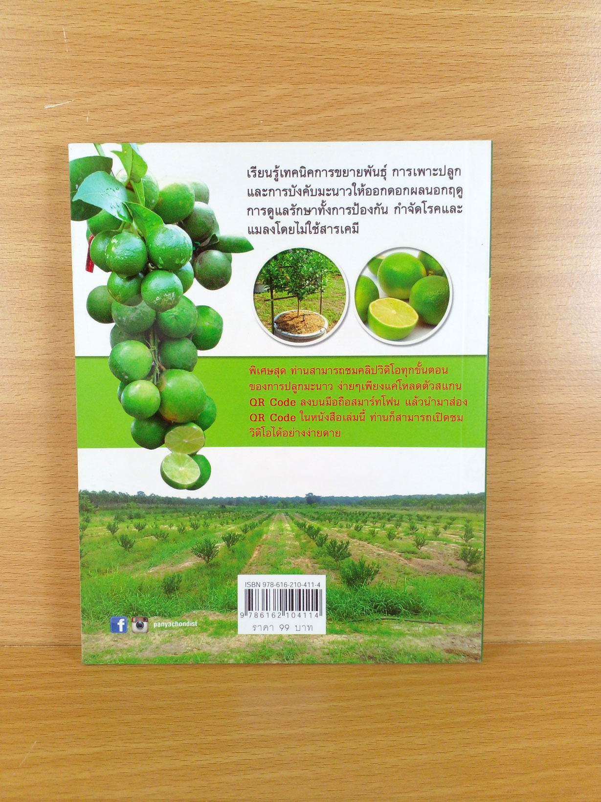 รอบรั้ว รอบรู้ การปลูกมะนาวให้รวย