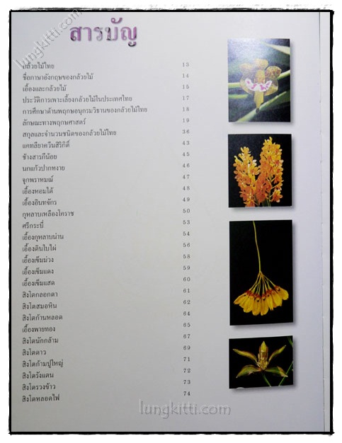 สวนพฤกษศาสตร์สมเด็จพระนางเจ้าสิริกิติ์ กล้วยไม้ไทย 023519 (1)