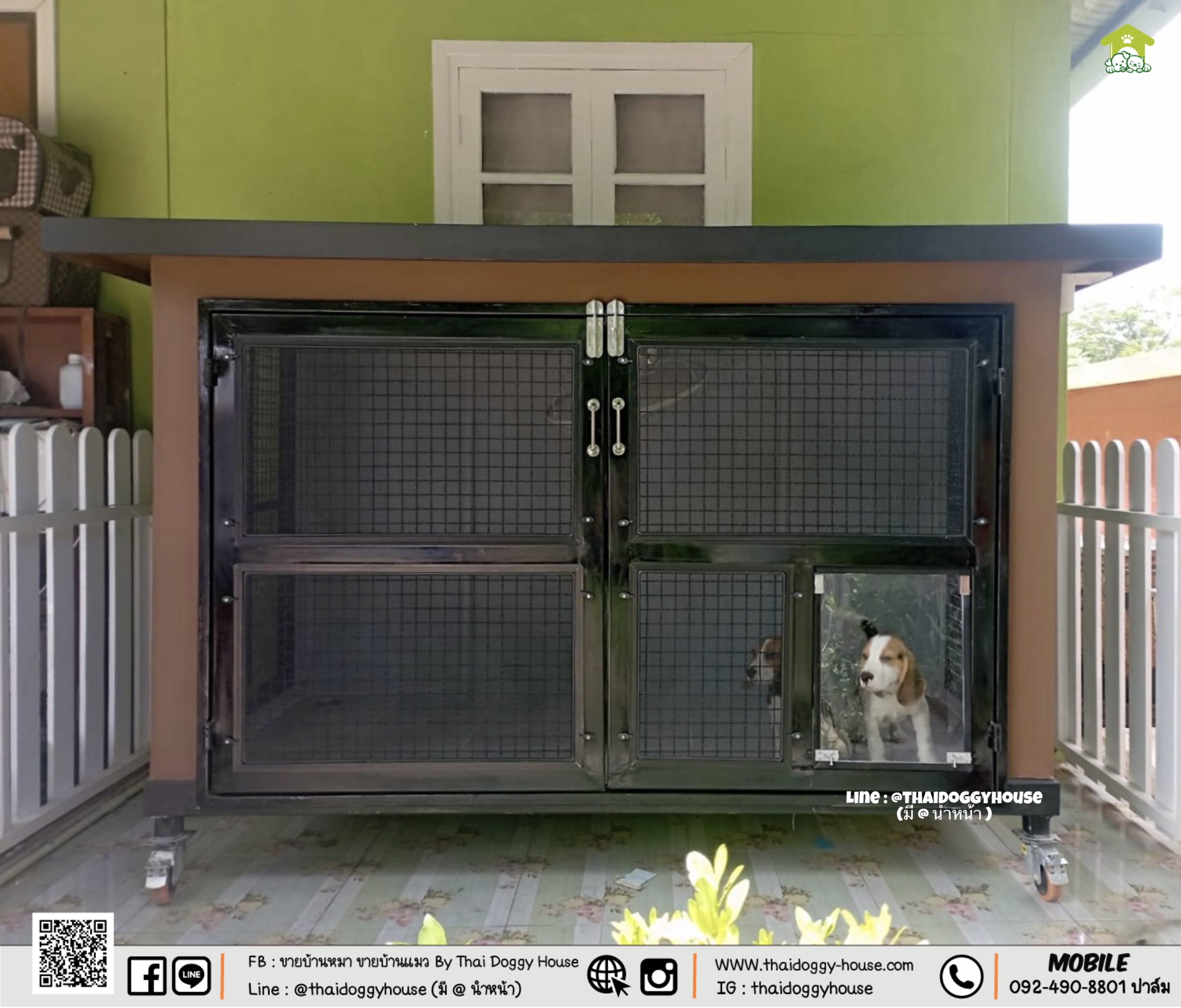 บ้านหมา บ้านแมว " 𝐁𝐎𝐗 𝐒𝐓𝐘𝐋𝐄 𝐁𝐘 𝐓𝐇𝐀𝐈 𝐃𝐎𝐆𝐆𝐘 𝐇𝐎𝐔𝐒𝐄 " &#x