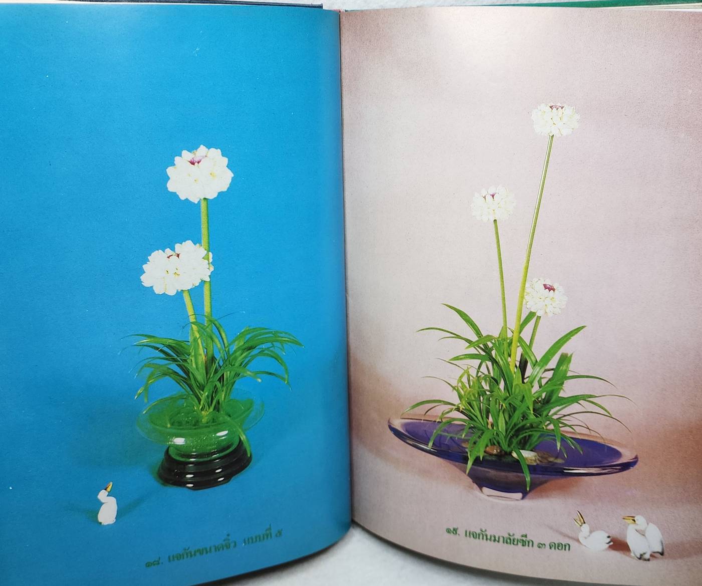 มะลิ สัญลักษณ์วันแม่ของไทย SKU-10013