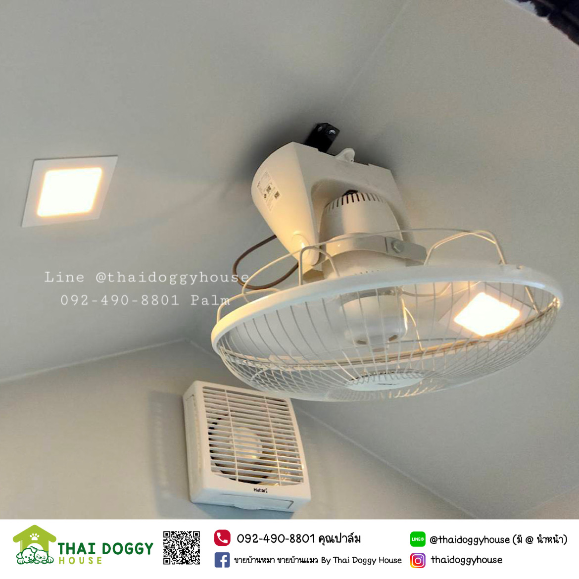 บ้านหมา บ้านแมว Nordic Style