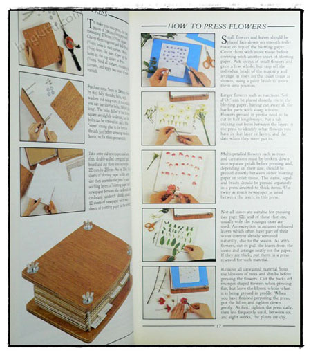 THE CREATIVE BOOK OFPRESSED FLOWERS 023860