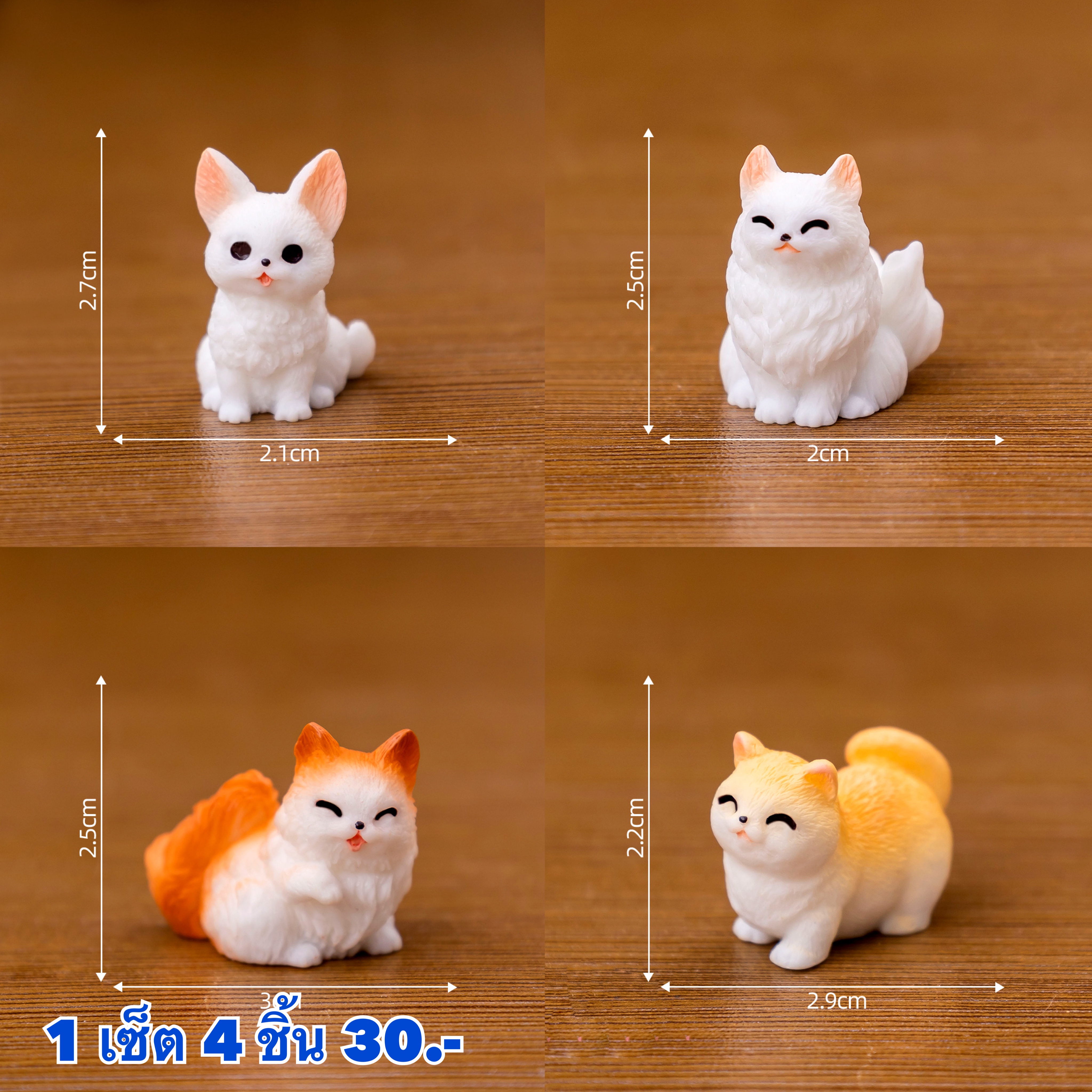 แมว 4 ชิ้น